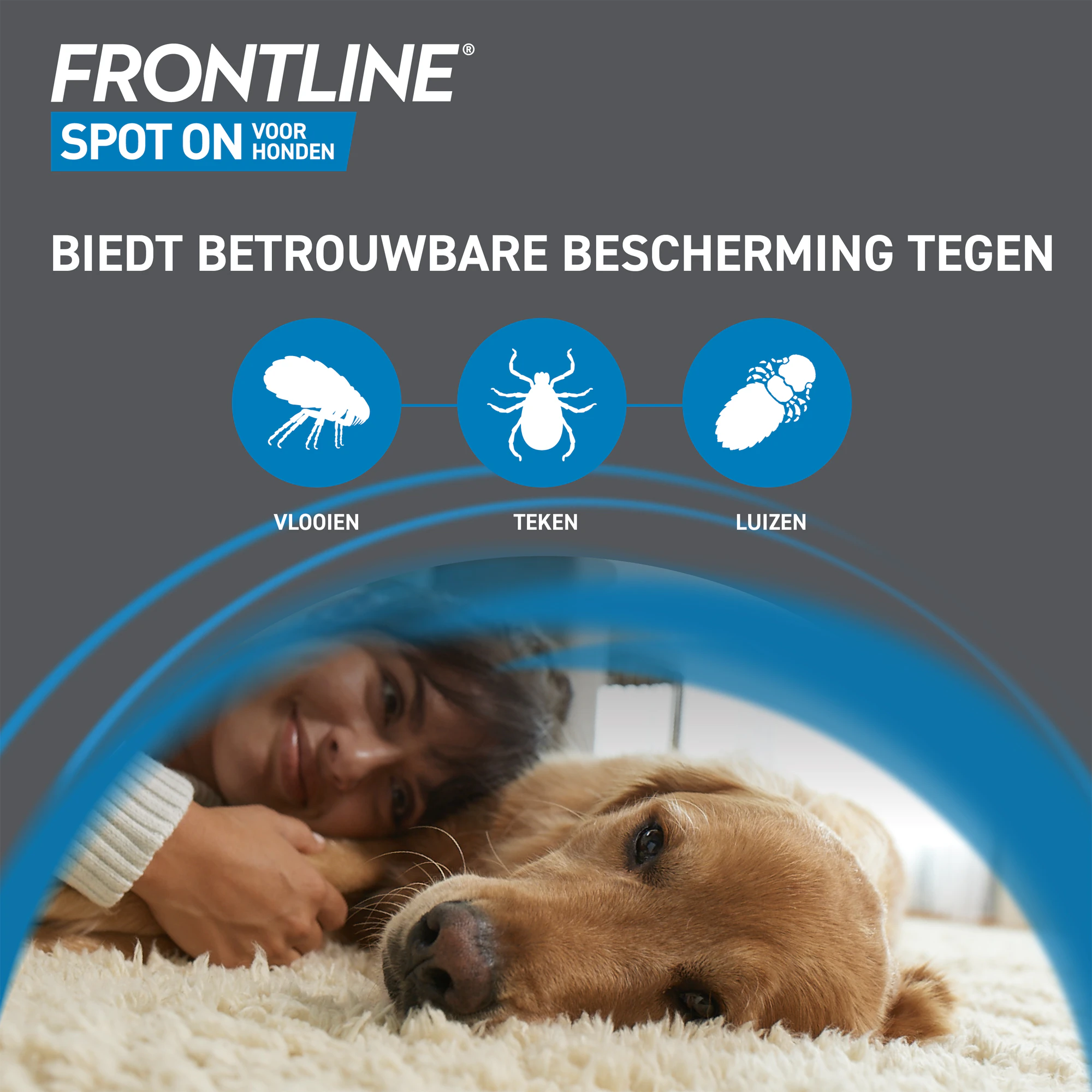 Frontline Spot On Hond