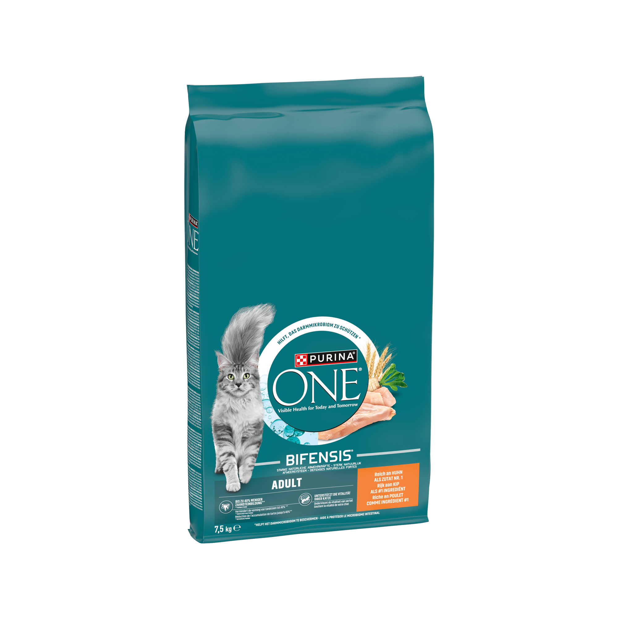 Purina ONE Adult