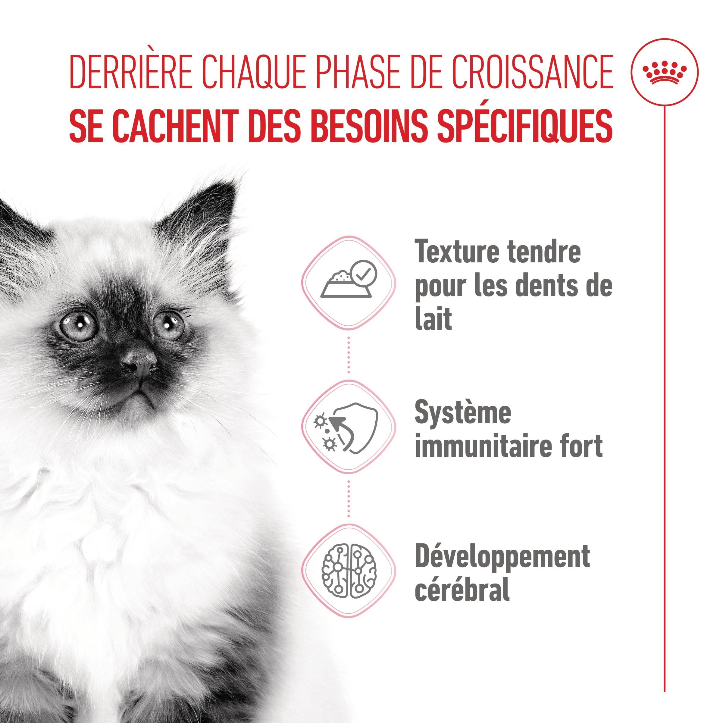 Royal Canin Kitten Jelly - Sachet
