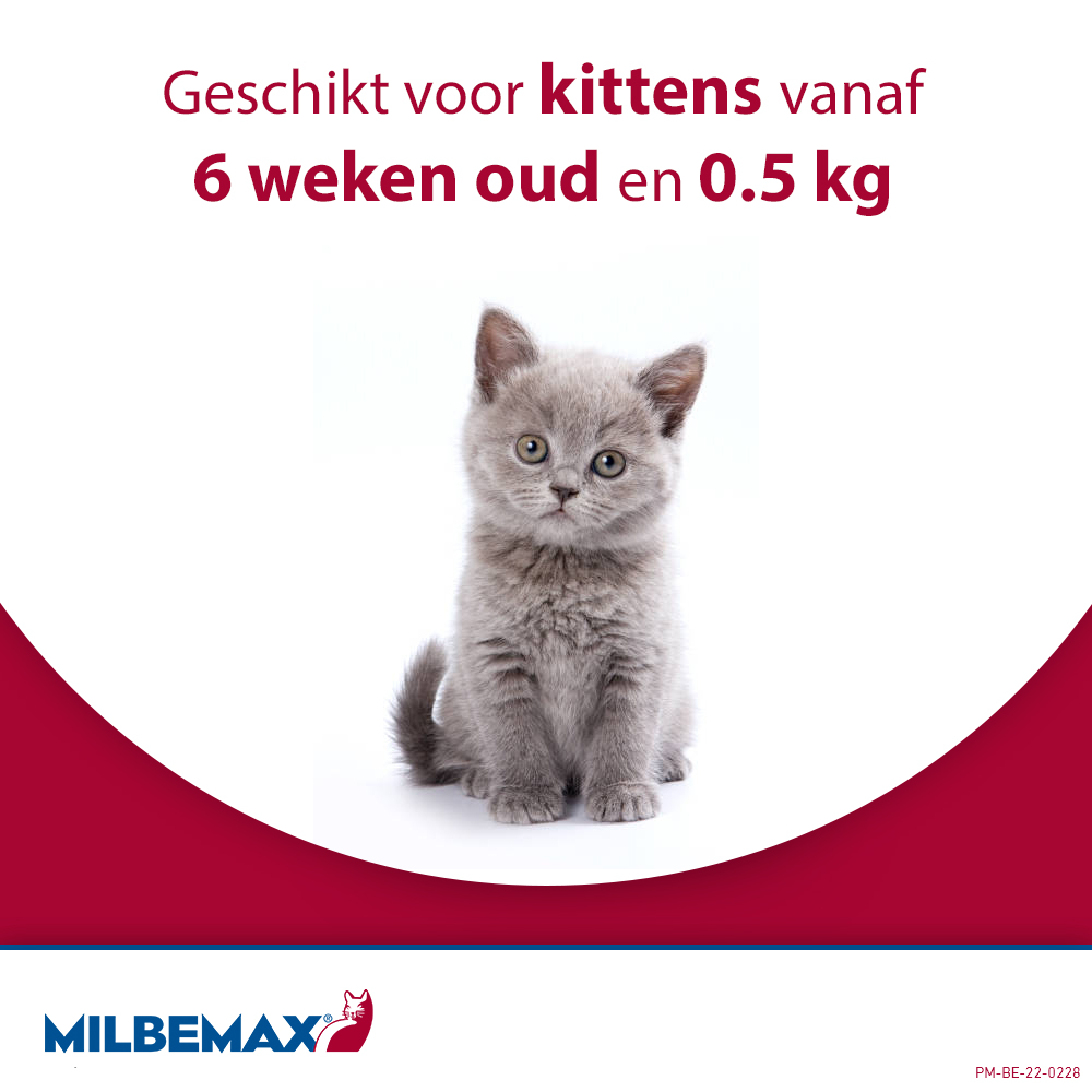Milbemax Kat