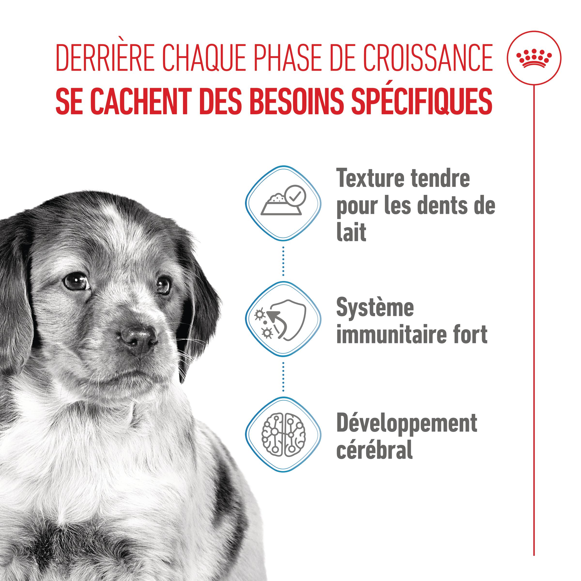Royal Canin Medium Puppy - Sachet