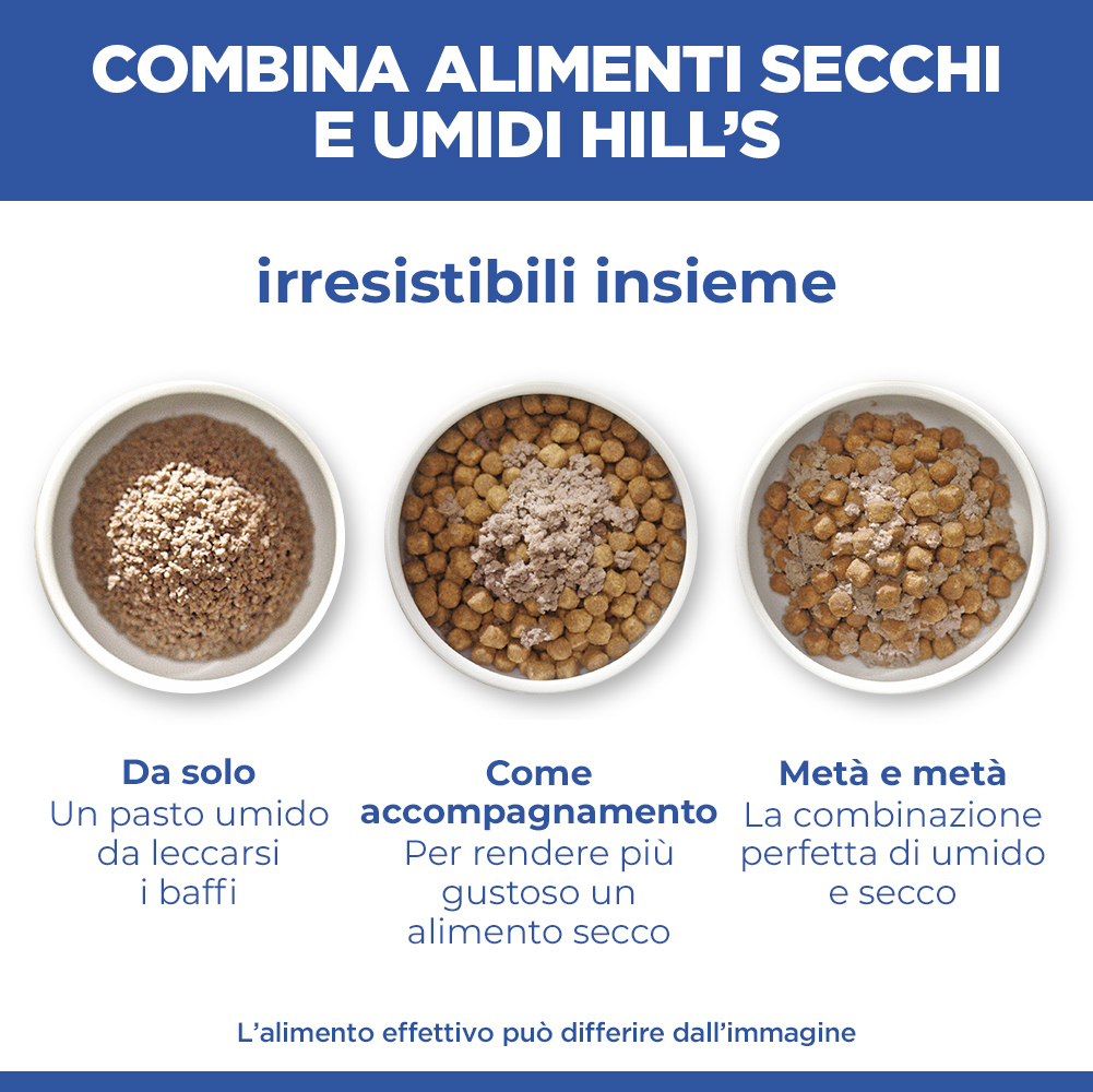 Hill's Science Plan Hypoallergenic - Adult - Salmone - Lattina