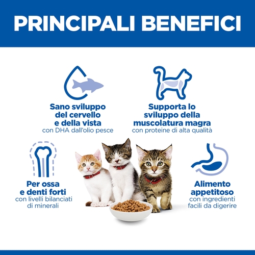 Hill's Science Plan - Kitten - Salmone