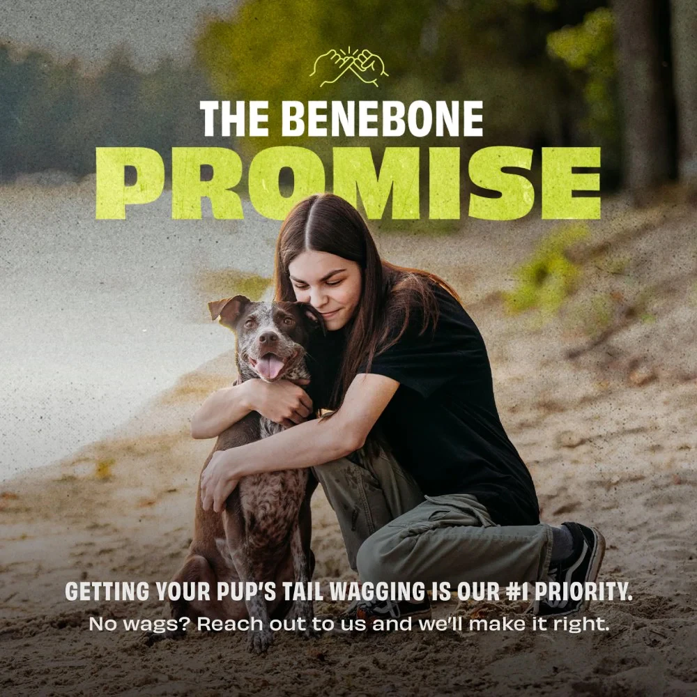 Benebone Bounce Tug Ball