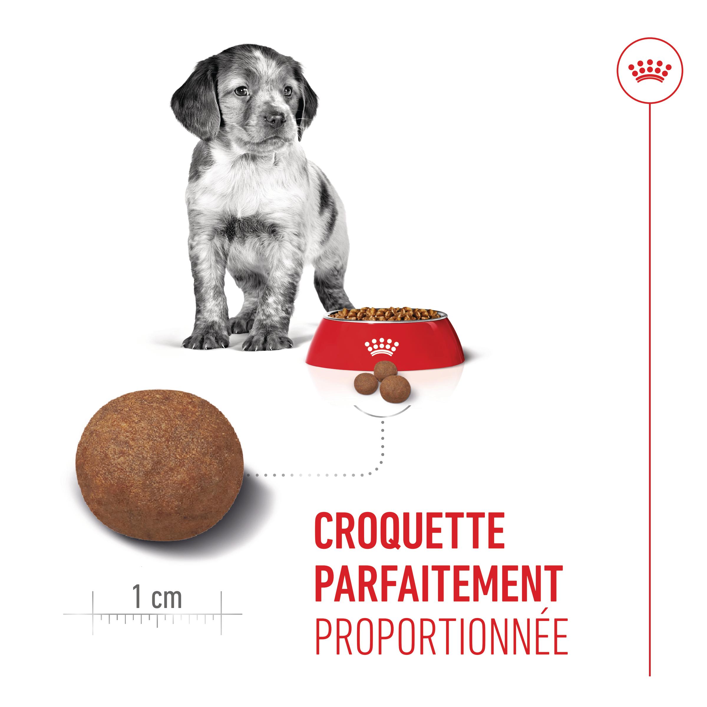Royal Canin Puppy Medium