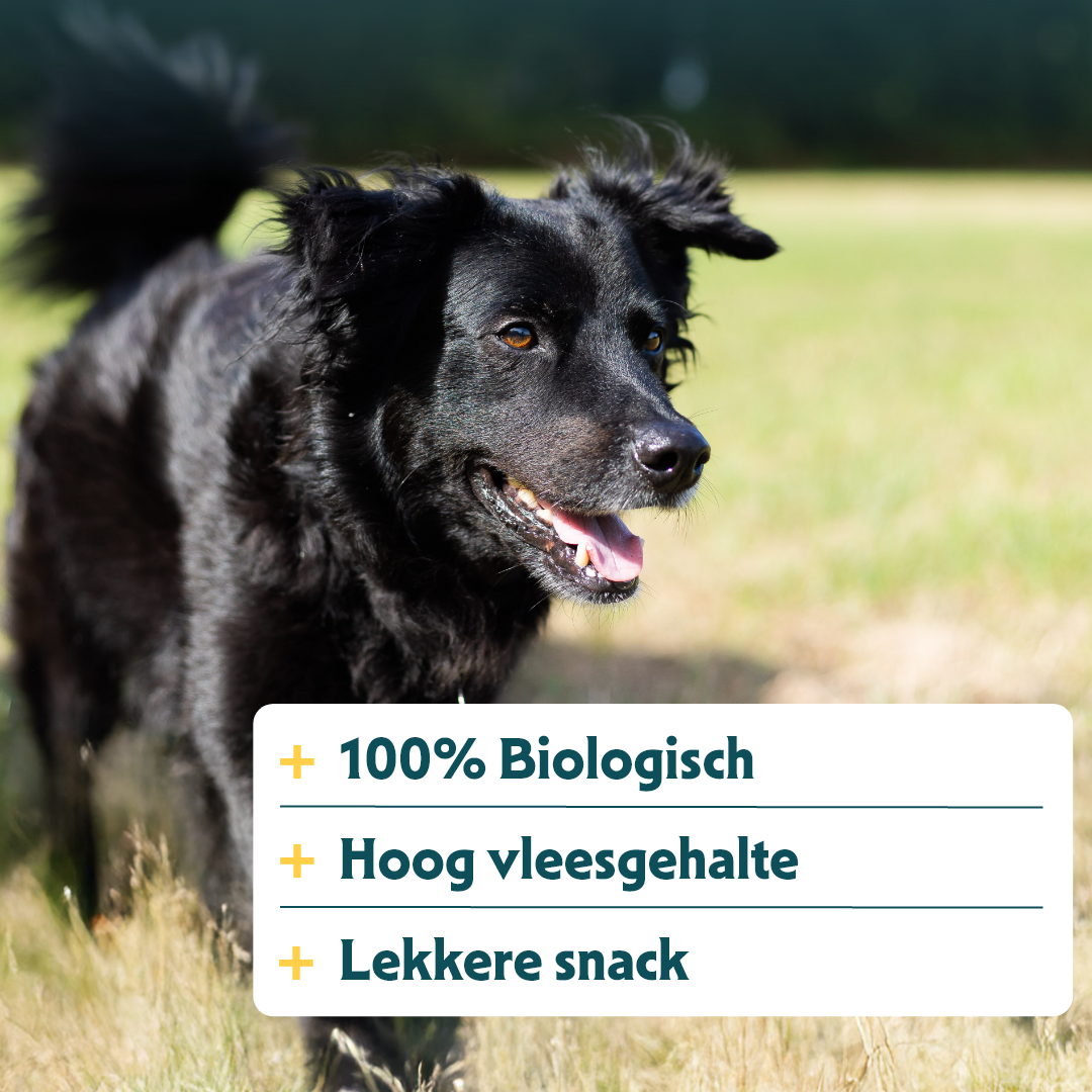 Yarrah - Hondensnack Chew Stick met Rund