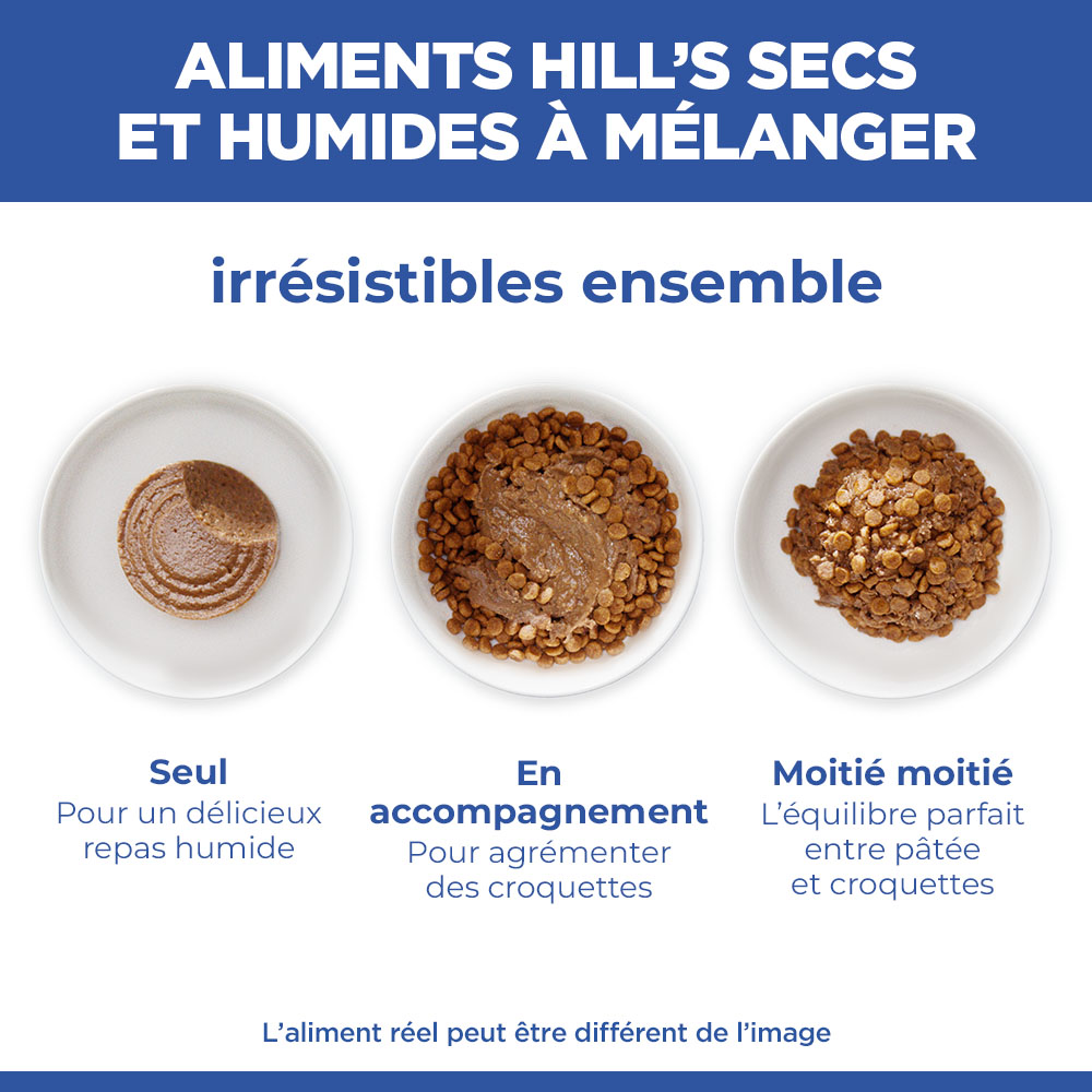 Hill's Science Plan Small & Mini - Perfect Weight Adult - Dinde - Boîte