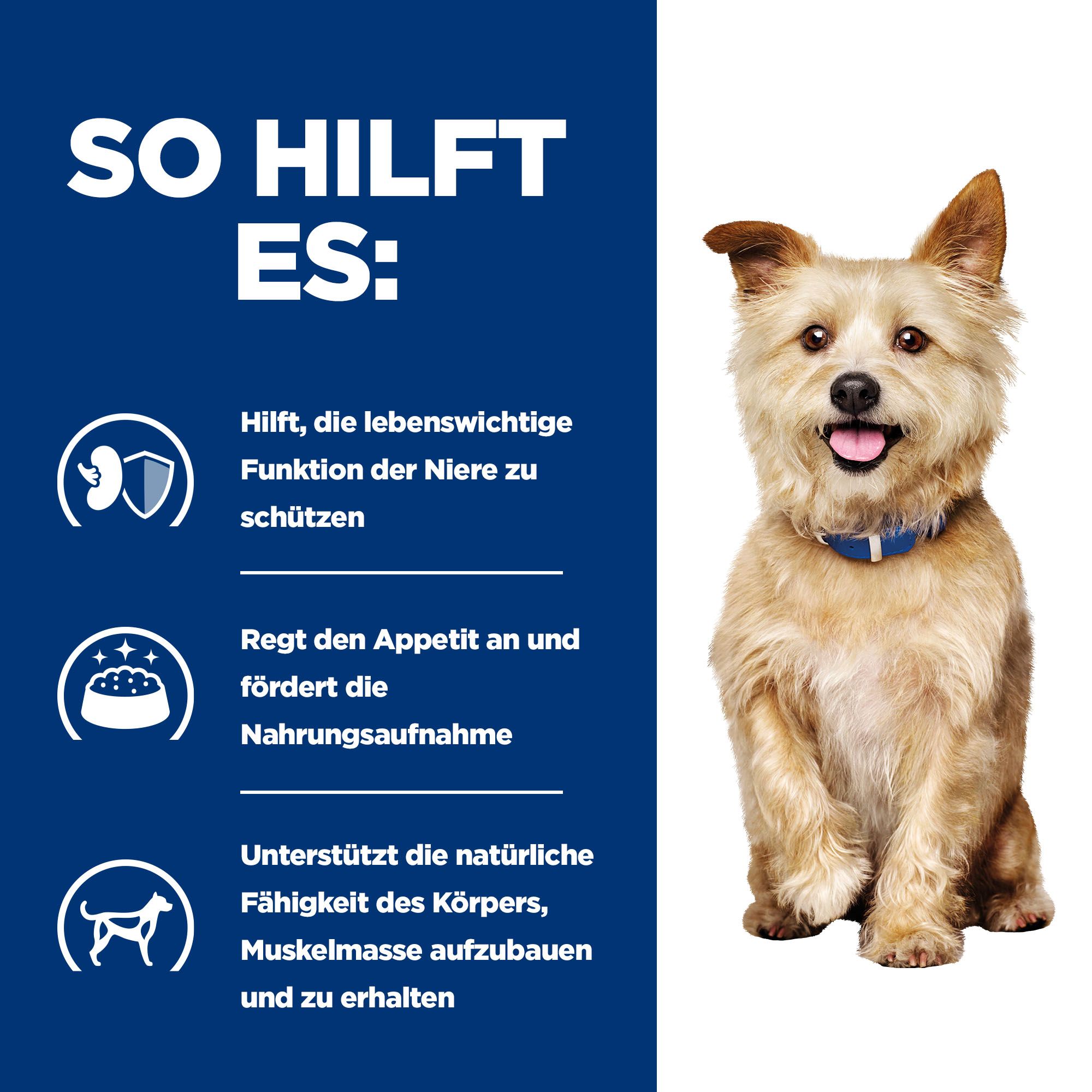 Hill's k/d Kidney Care - Prescription Diet - Canine