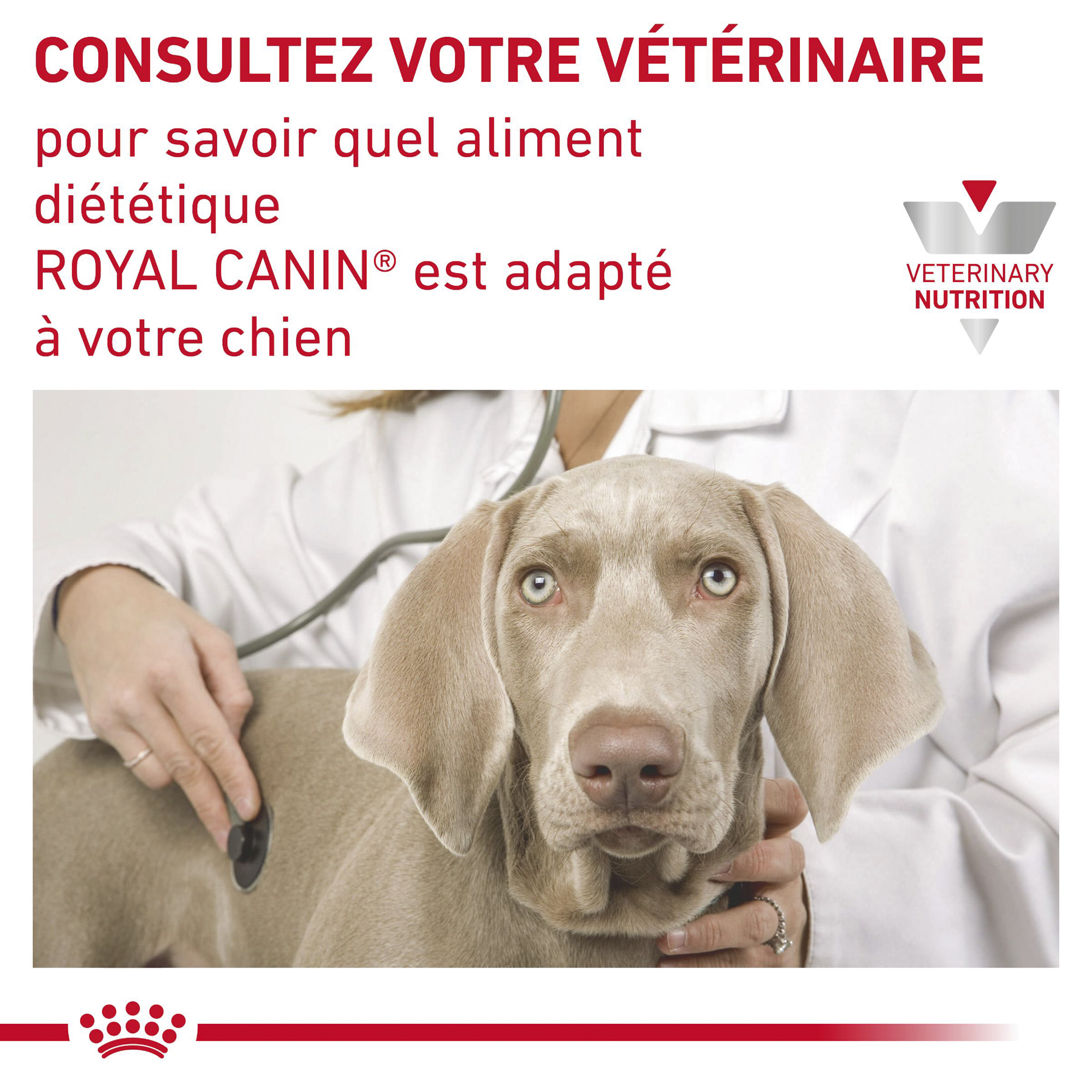 Royal Canin Urinary S/O Moderate Calorie - Chien