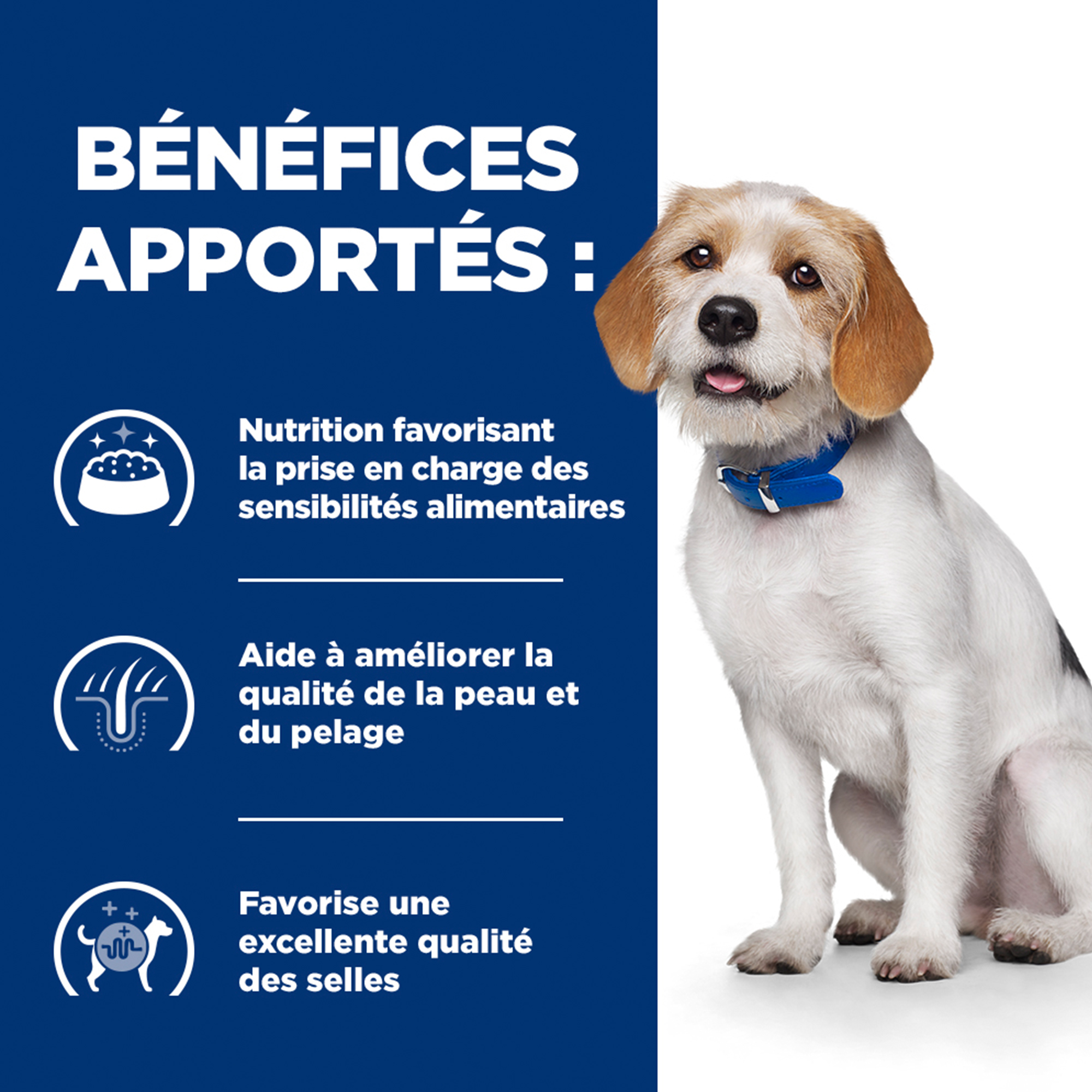 Hill's z/d Low Fat Food Sensitivities - Prescription Diet - Canine