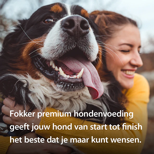Fokker Dog Country NoGrain