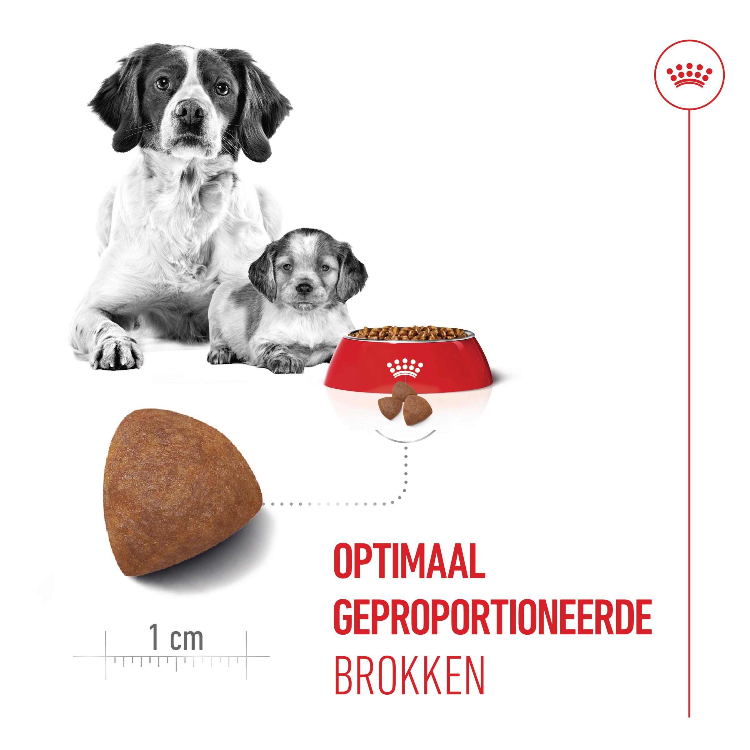 Royal Canin Medium Starter Mother & Babydog - Hondenvoer