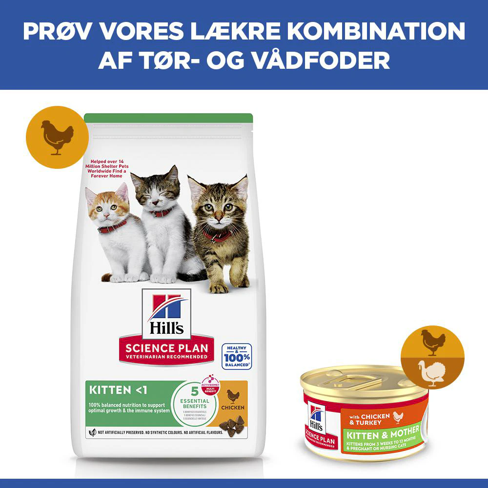 Hill's Science Plan Kitten & Mother Tender Mousse