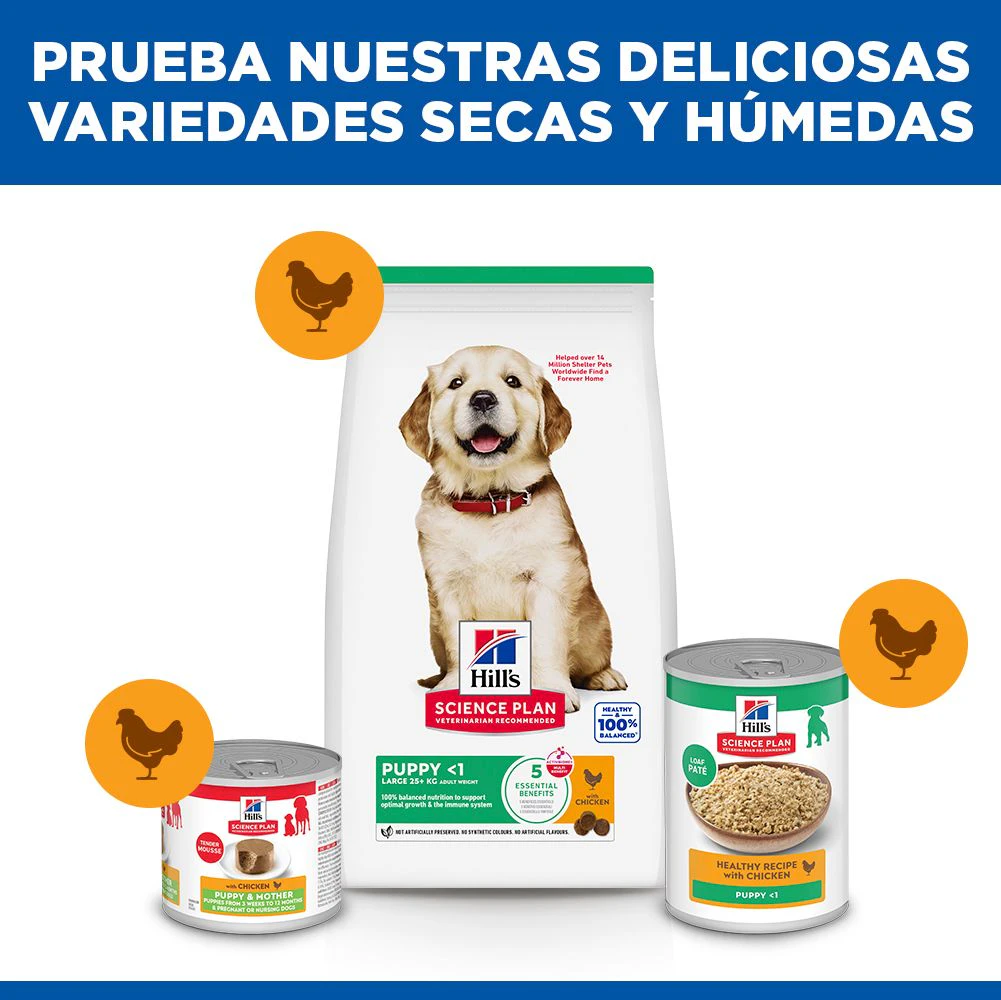 Hill's Science Plan - Large Breed - Puppy - Pollo