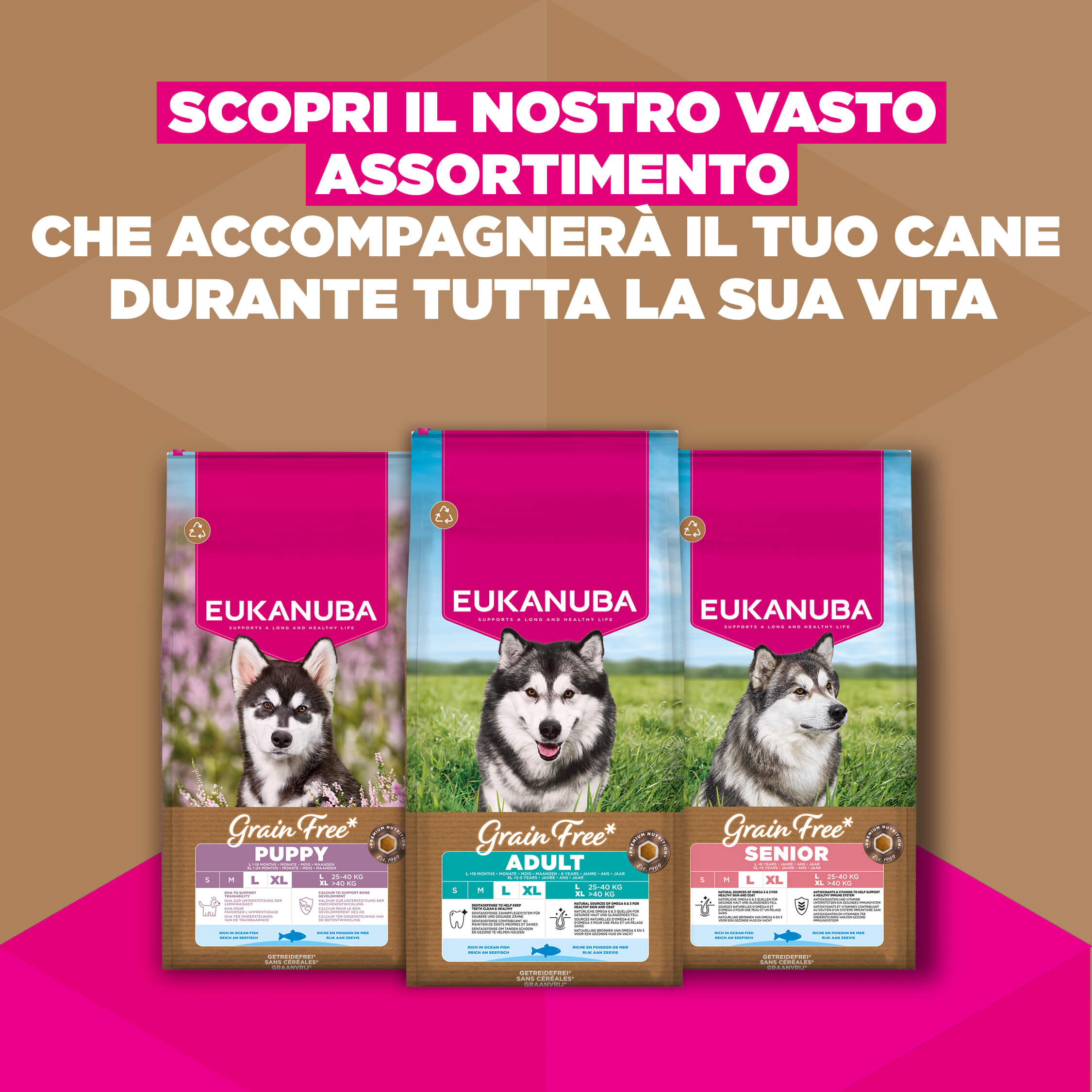 Eukanuba Dog Junior Large Grainfree Cibo per Cani
