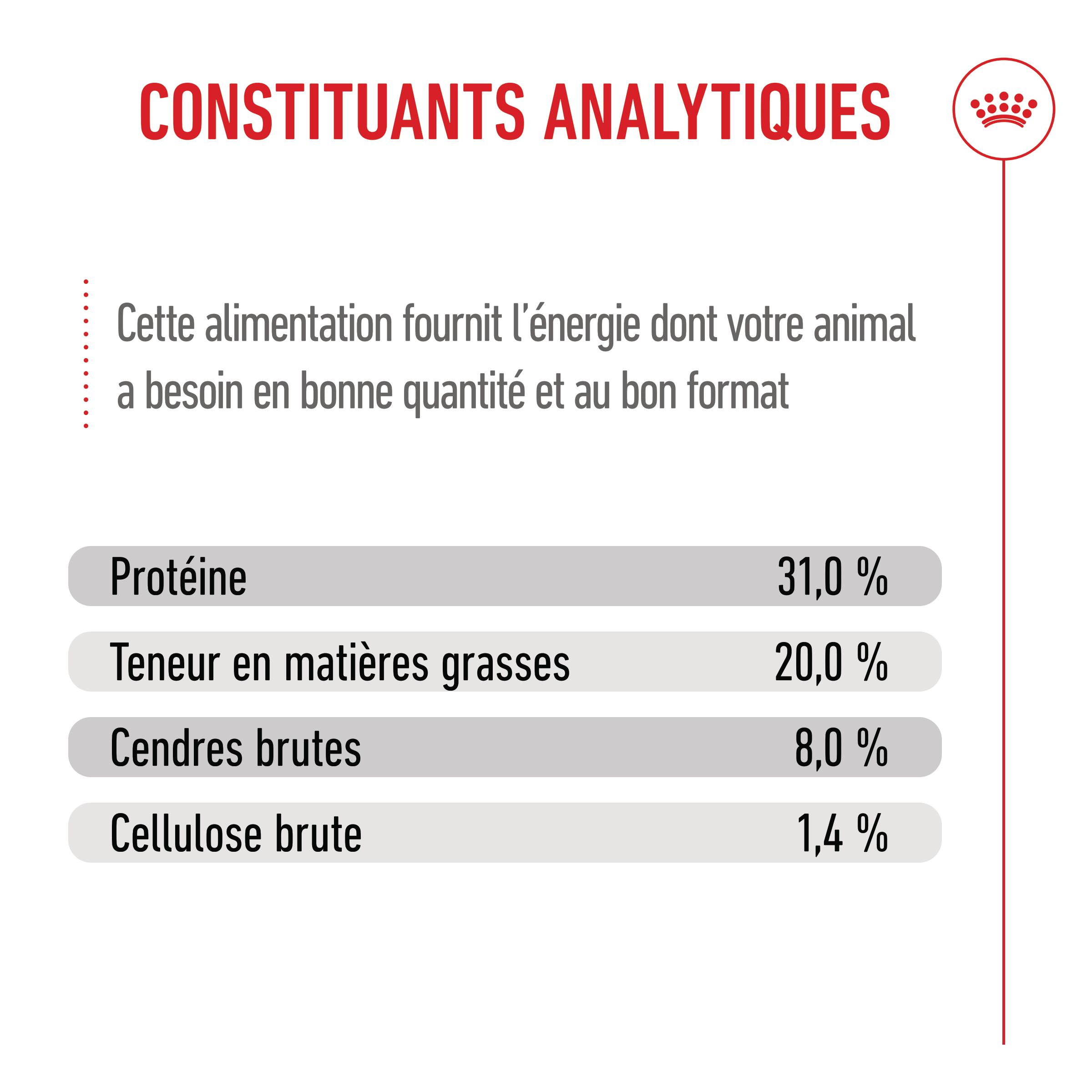 Royal Canin Mini Puppy