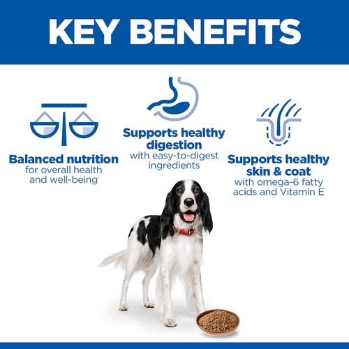 Hill's Science Plan Medium - Adult - Beef - Can