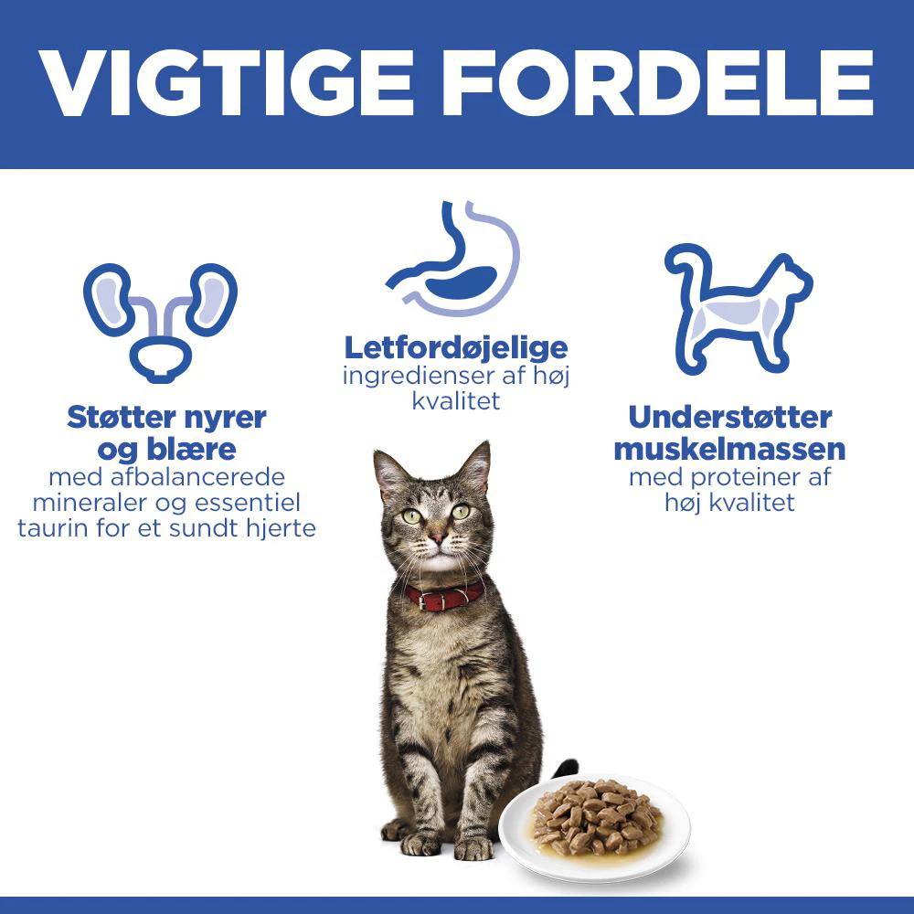 Hill's Science Plan Adult Kattefoder - Vådfoder - Havfisk