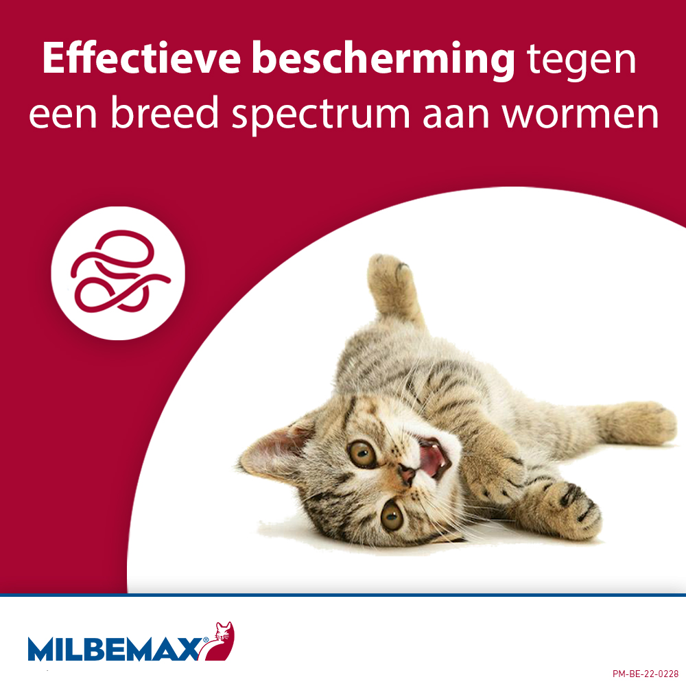 Milbemax Kat