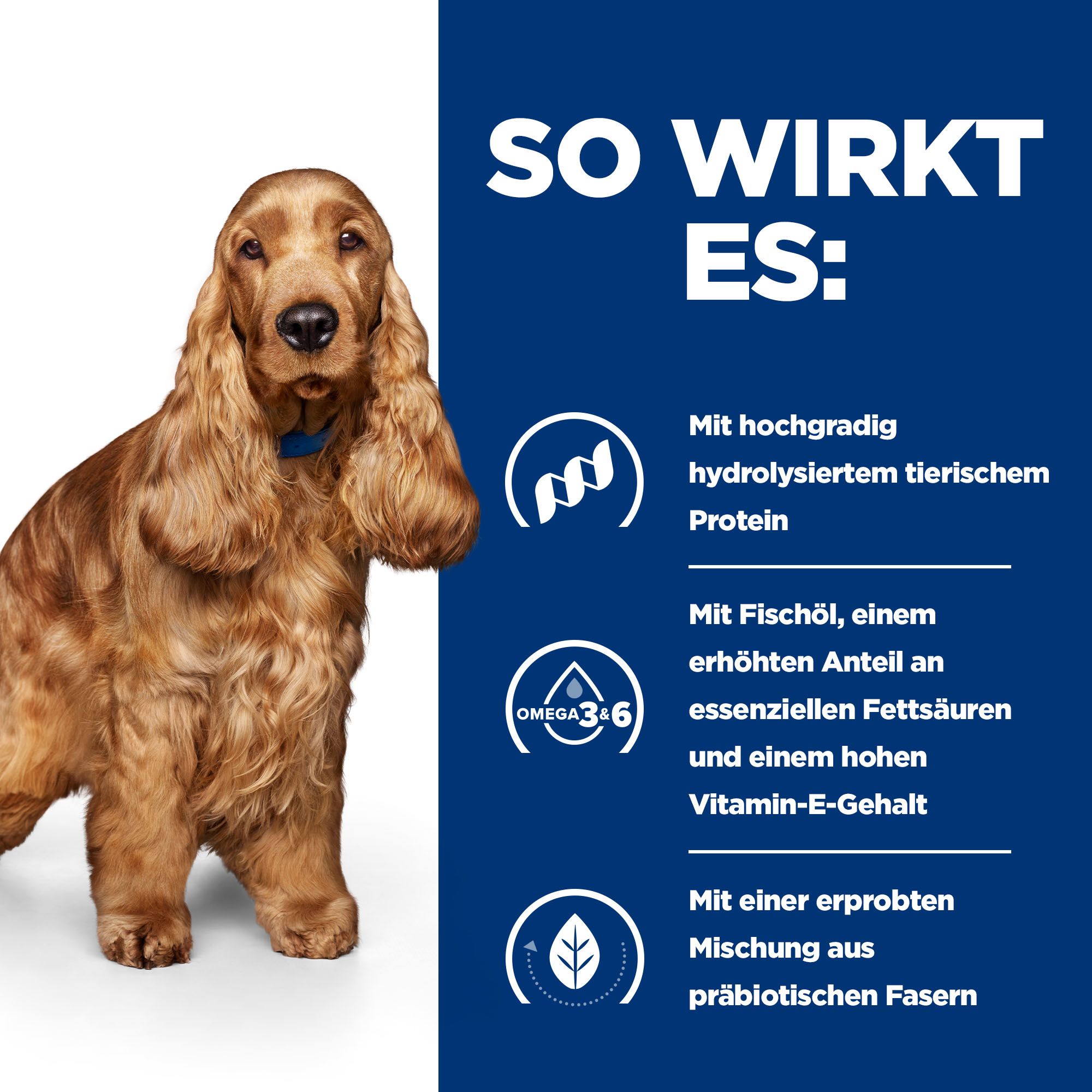 Hills z/d Canine | Hund | Bestellen | Medpets.de