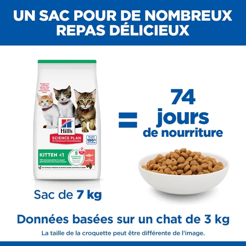 Hill's Science Plan - Chaton - Saumon
