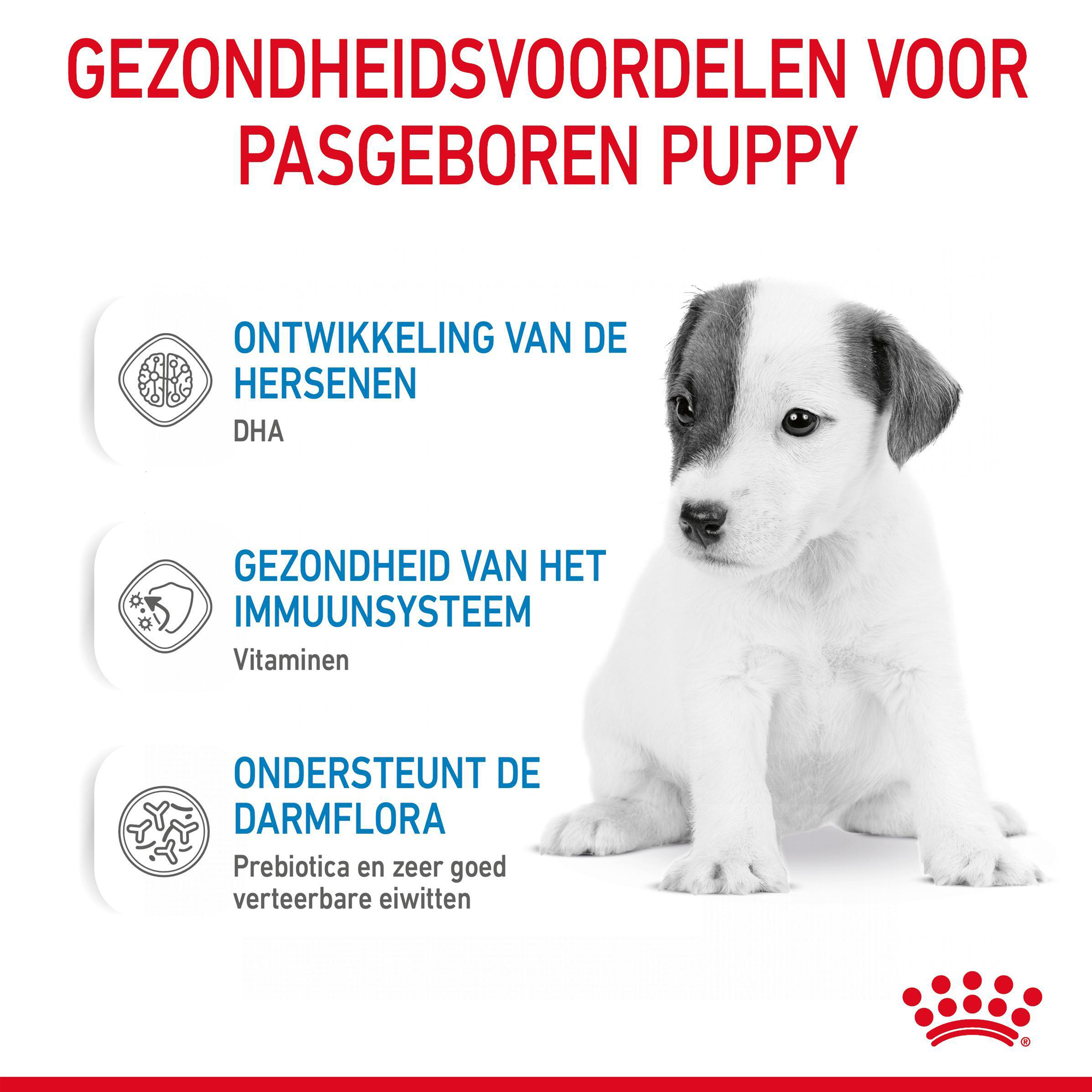Puppy Melk Feeder Met 3 Tepels Siliconen Melk Voerbak Puppy Kitten Verpleging Station For Het Voeden Kleine Pasgeboren Huisdieren Binnen Twee Weken