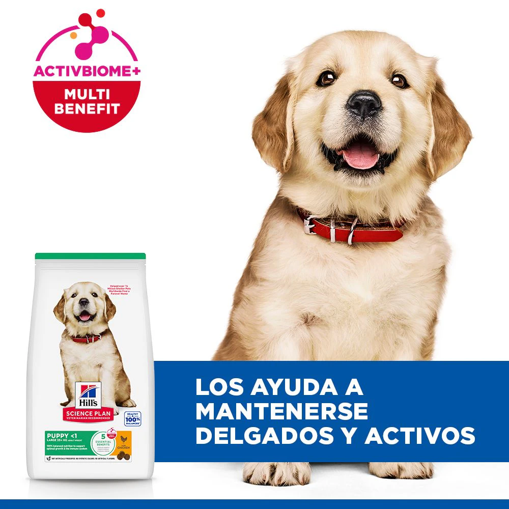 Hill's Science Plan - Large Breed - Puppy - Pollo