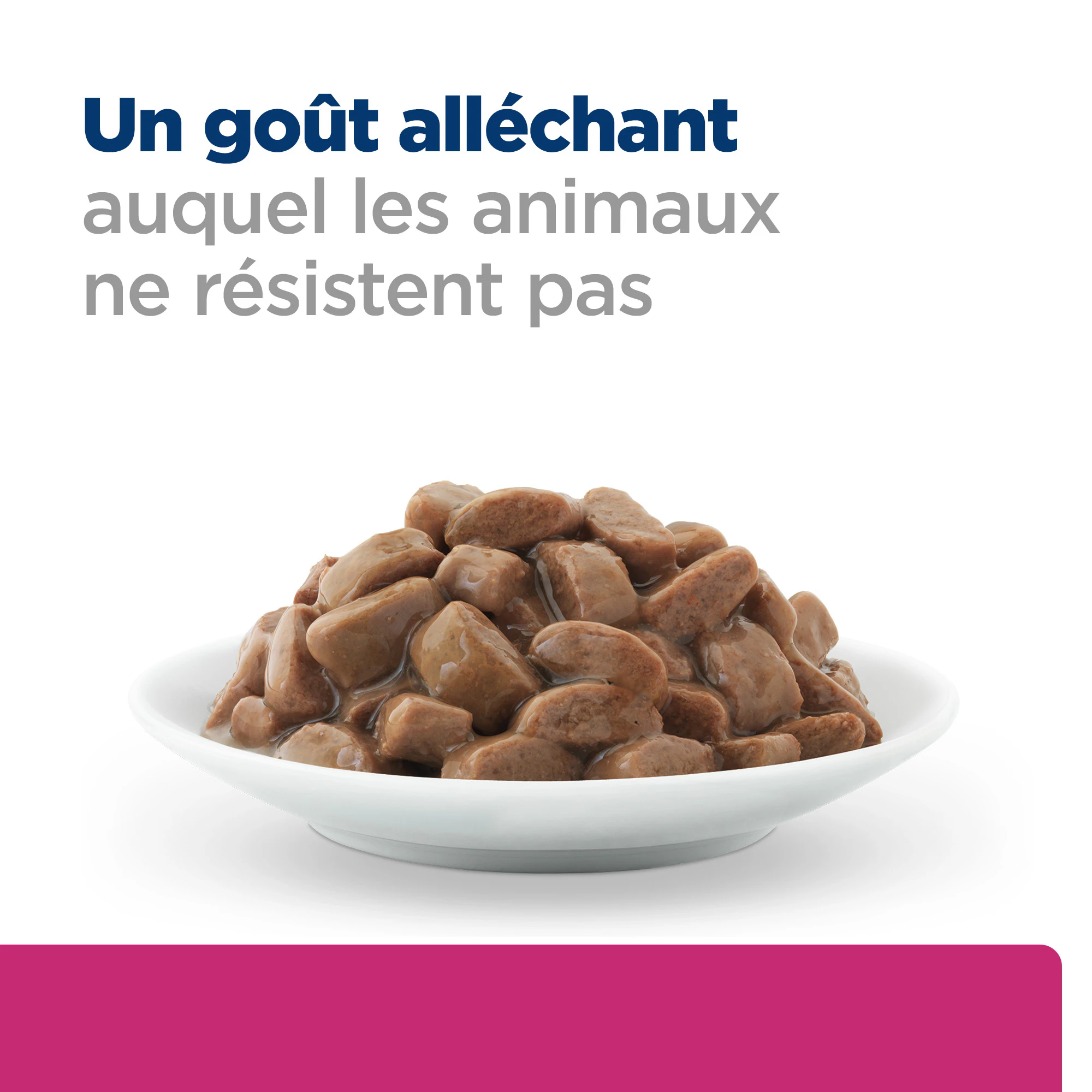 Hill's Prescription Diet - Gastrointestinal Biome - Félin - Pâtée