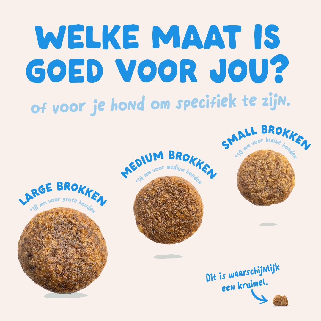 Edgard & Cooper Adult - Zalm