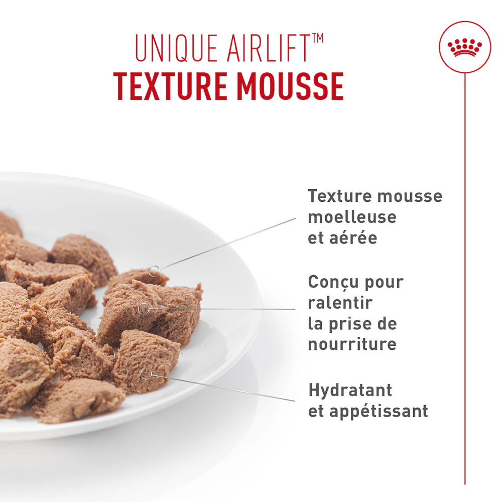 Royal Canin Digestive Care Mousse - Pour chat