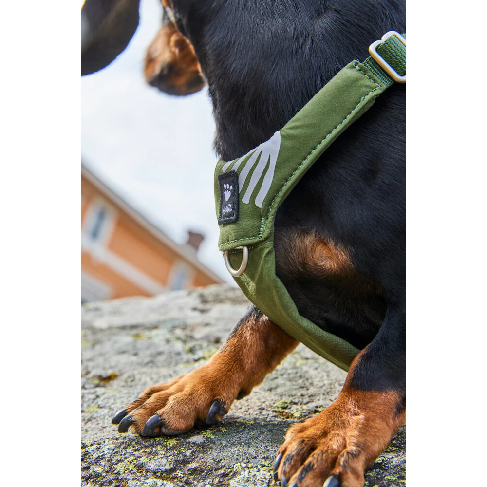 Hurtta Harness Seeker