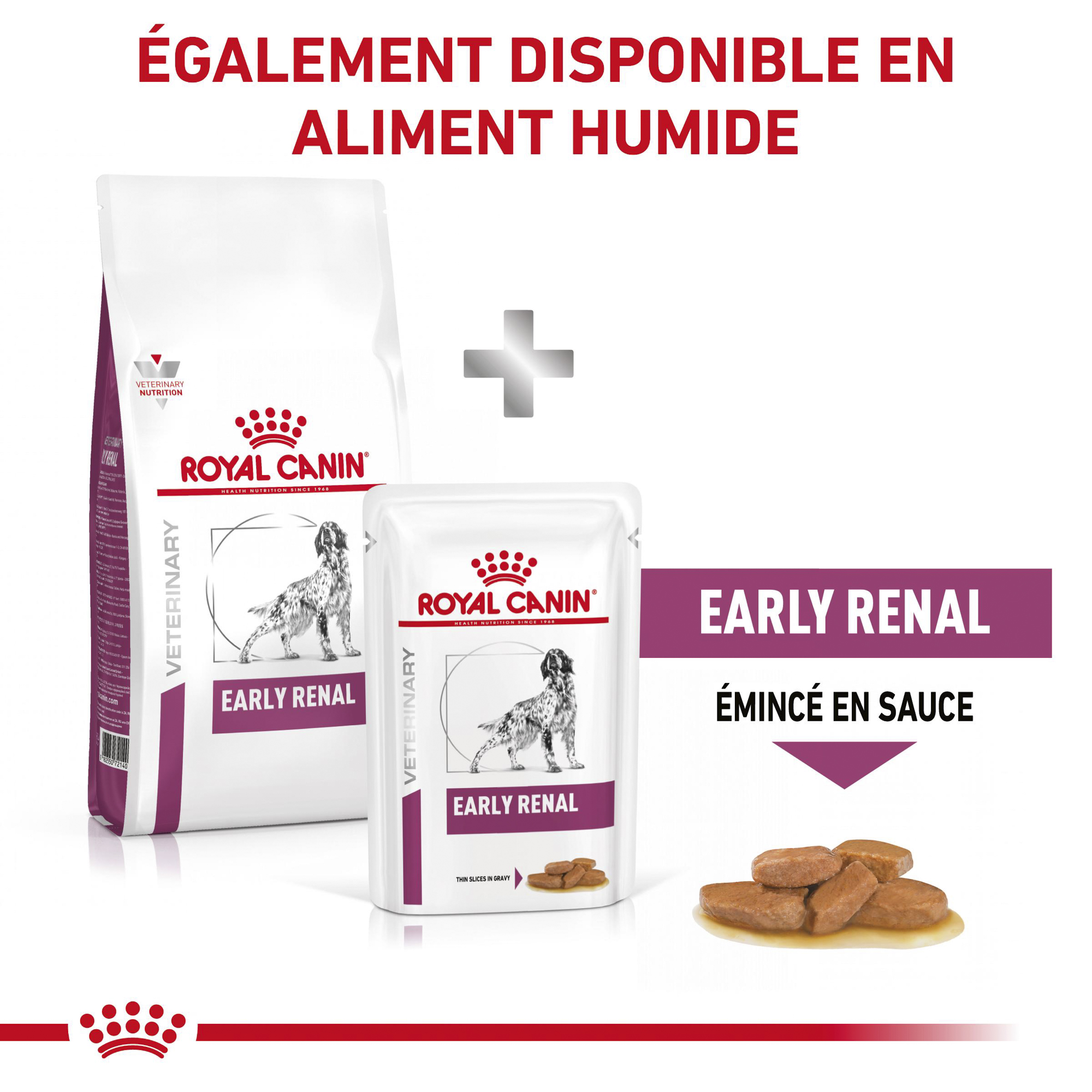 Royal Canin Early Renal - Chien