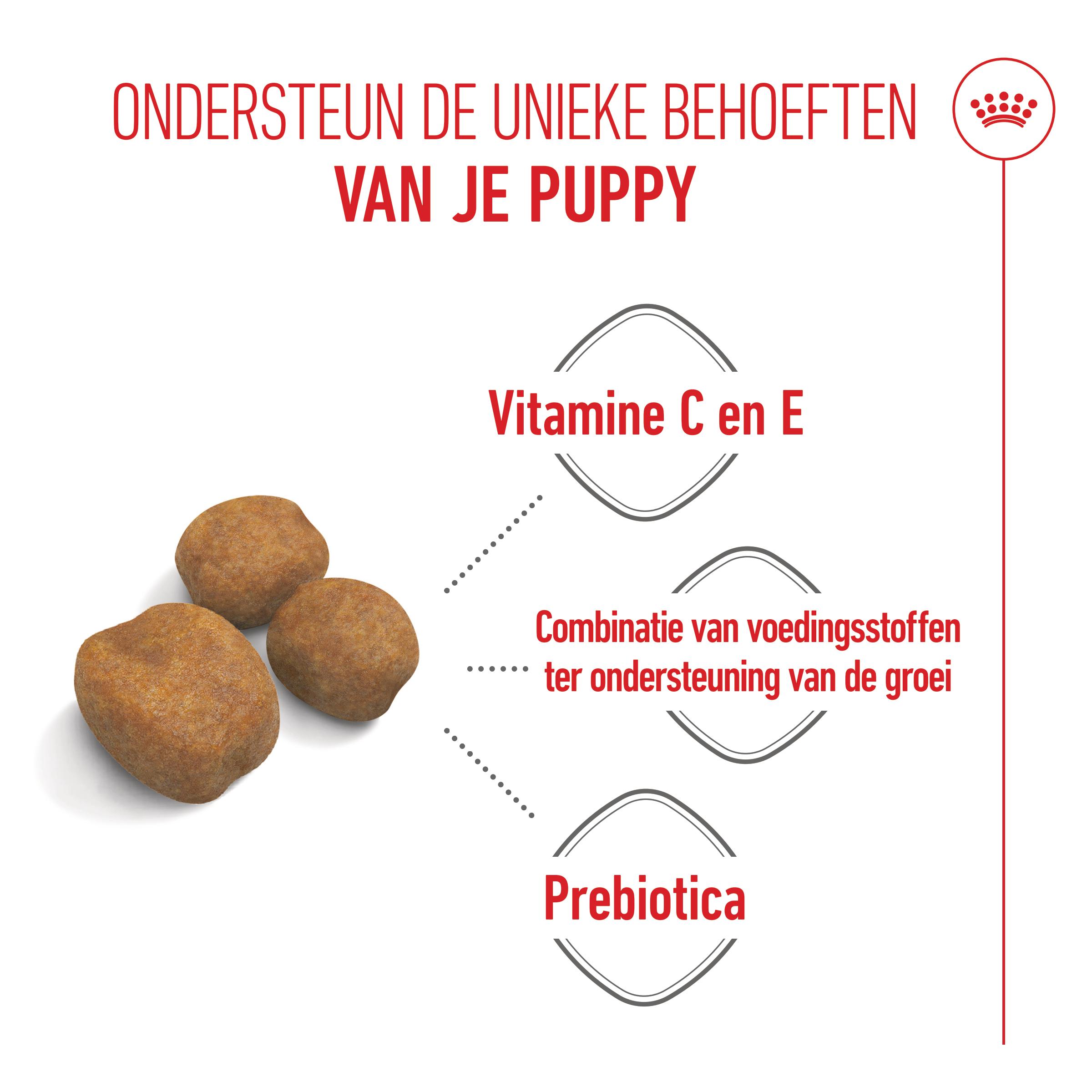 Royal Canin Giant Puppy - Hondenvoer