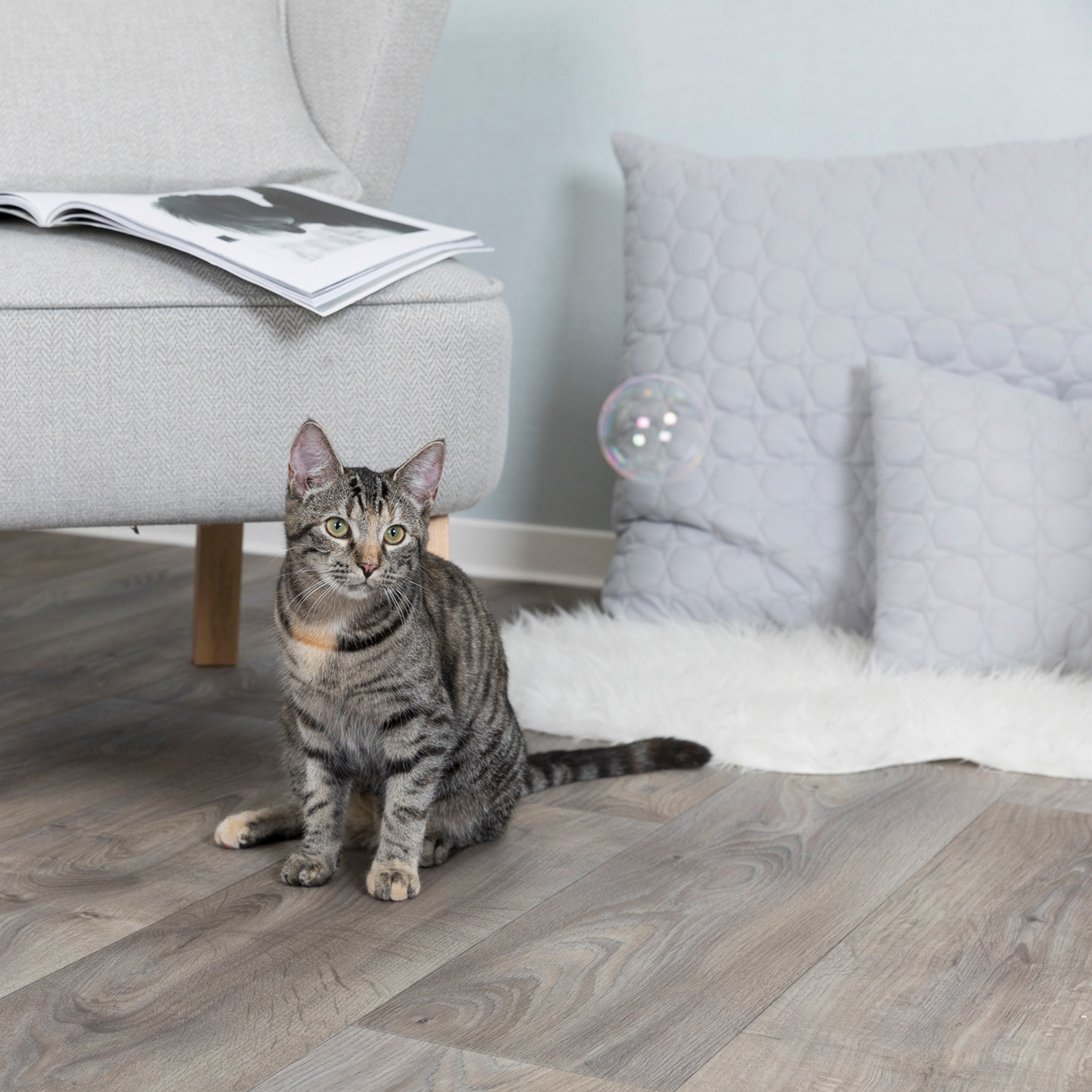 Trixie Catnip Bellenblaas