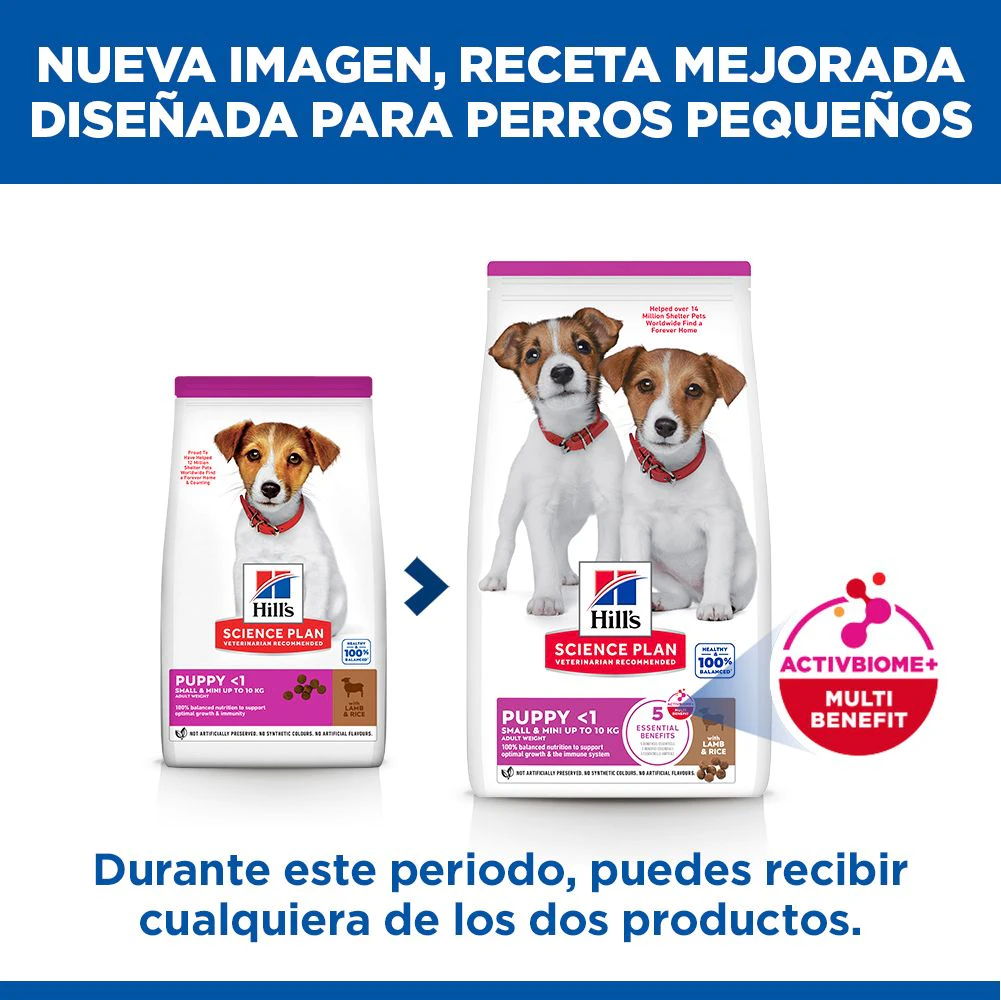 Hill's Science Plan Small & Mini - Cachorro - Cordero y Arroz