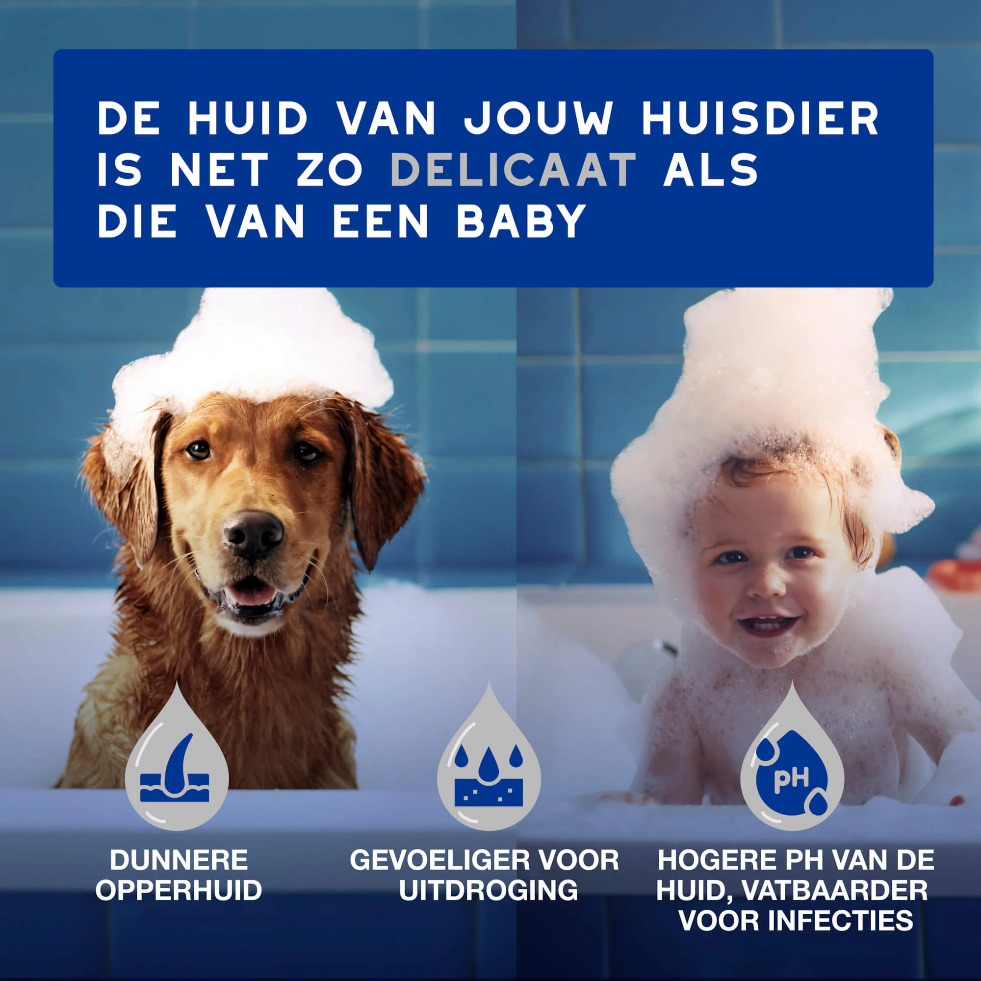 Douxo Spa Doekjes