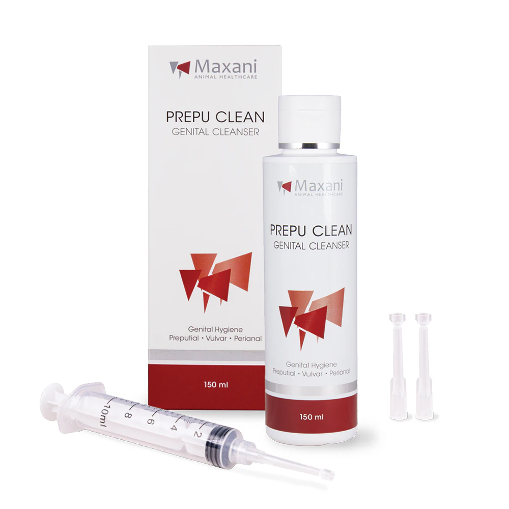Maxani Prepu Clean