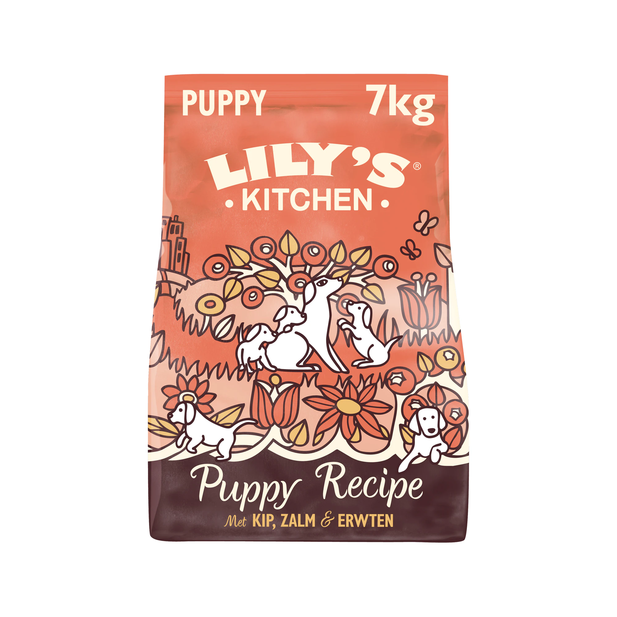 Lily's Kitchen Cibo per Cuccioli