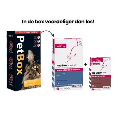 PetBox Kat