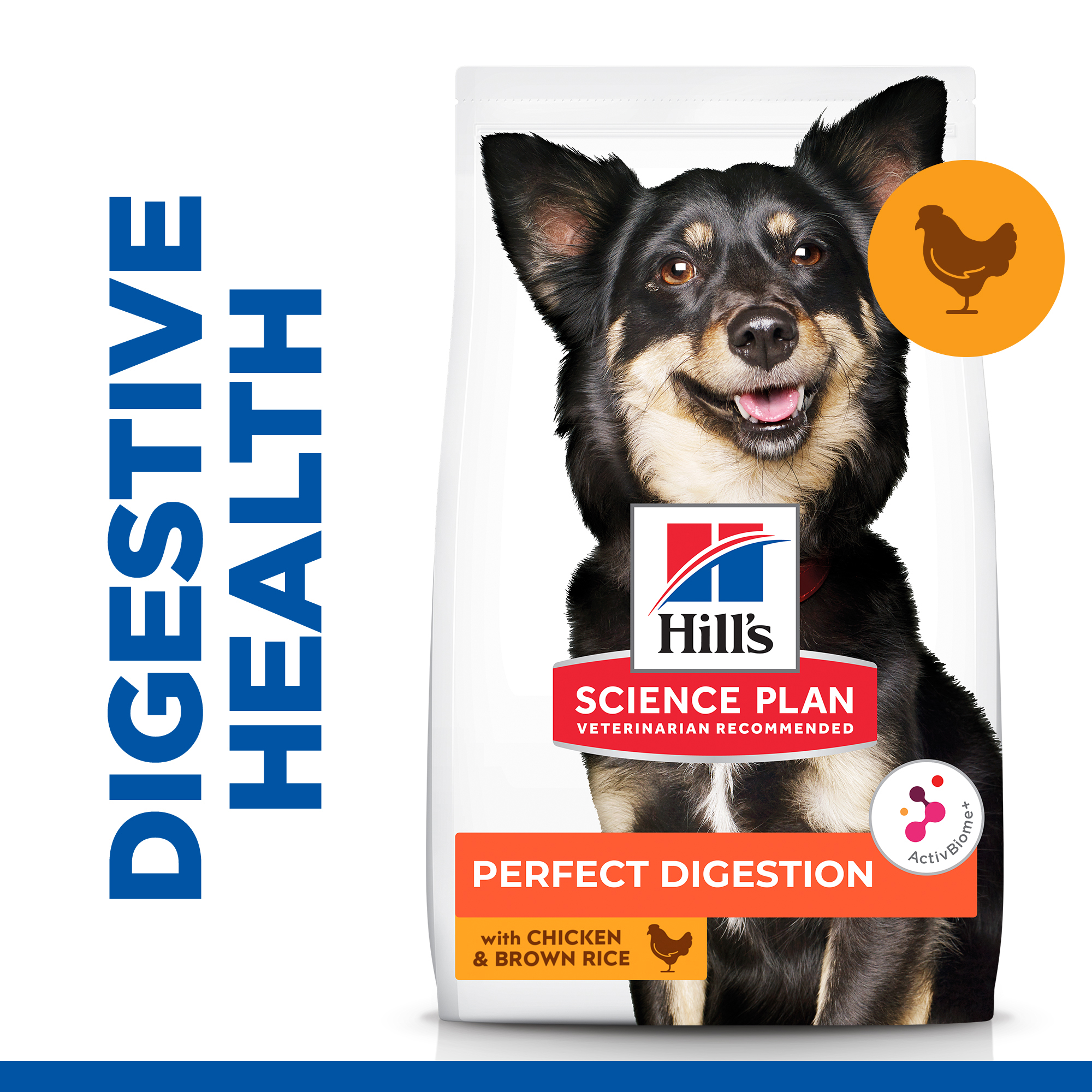 Hill's digestive hotsell health dog food