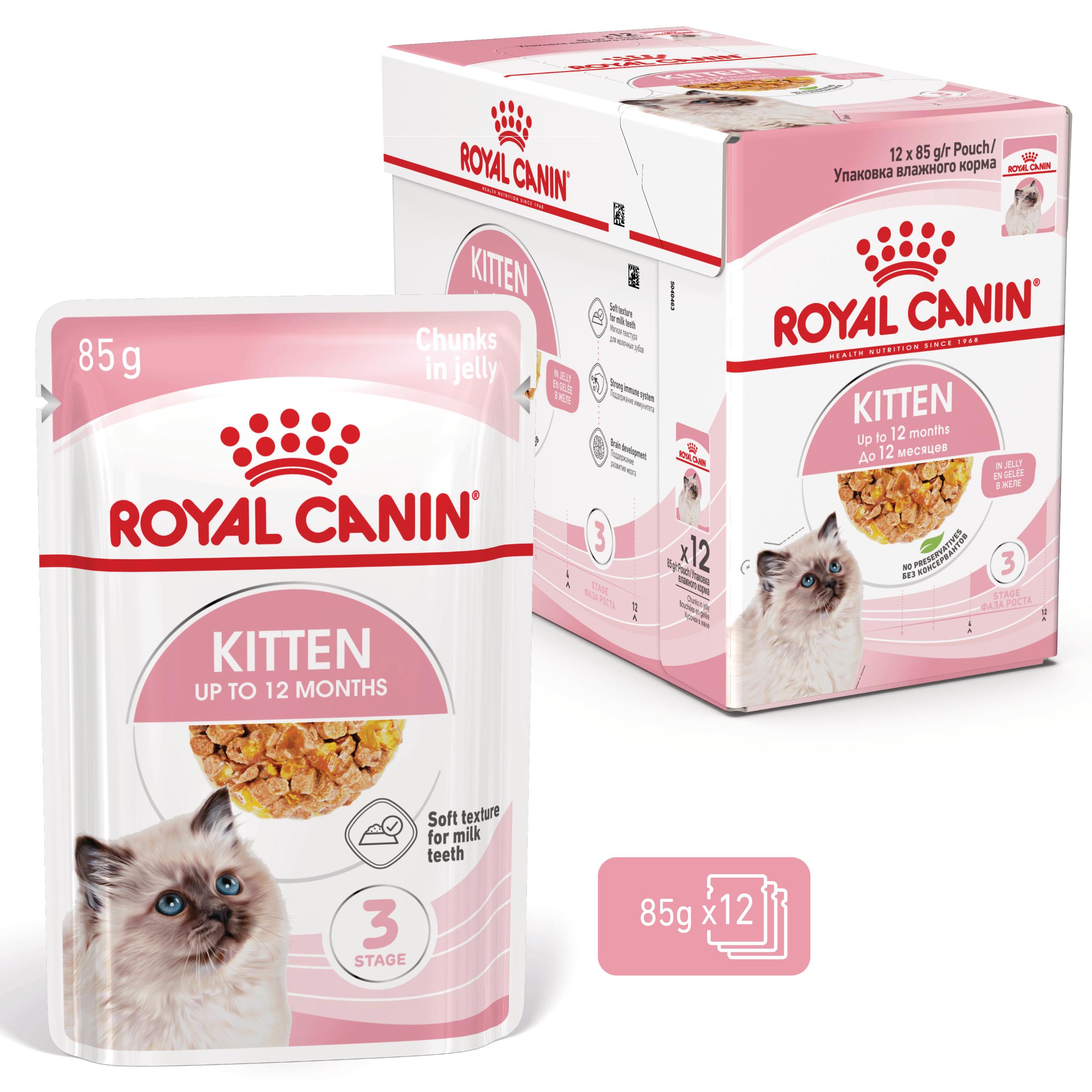 Royal Canin Kitten in Jelly - Kattenvoer