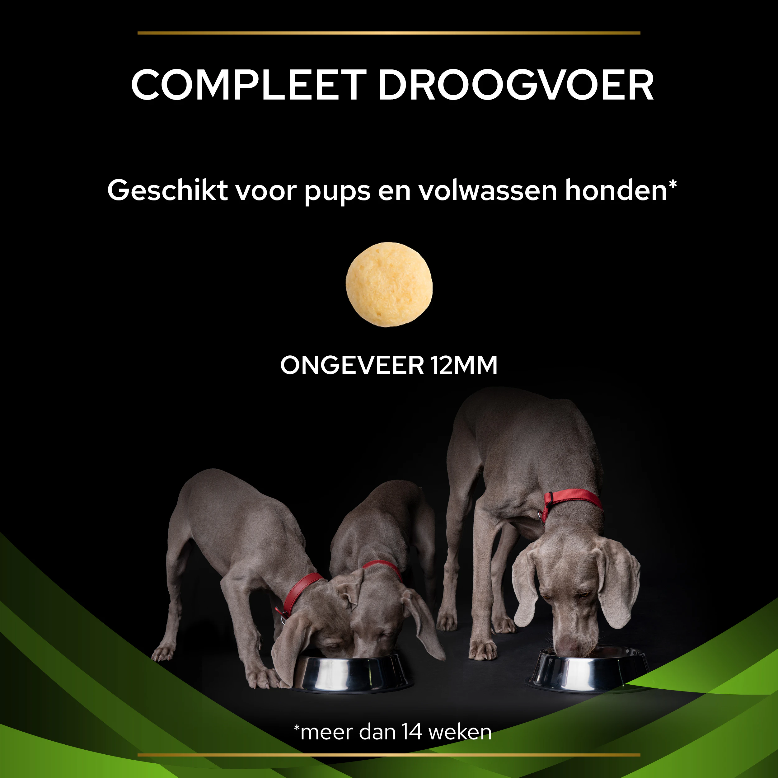 Purina Pro Plan Veterinary Diets HA Hypoallergeen - Hond