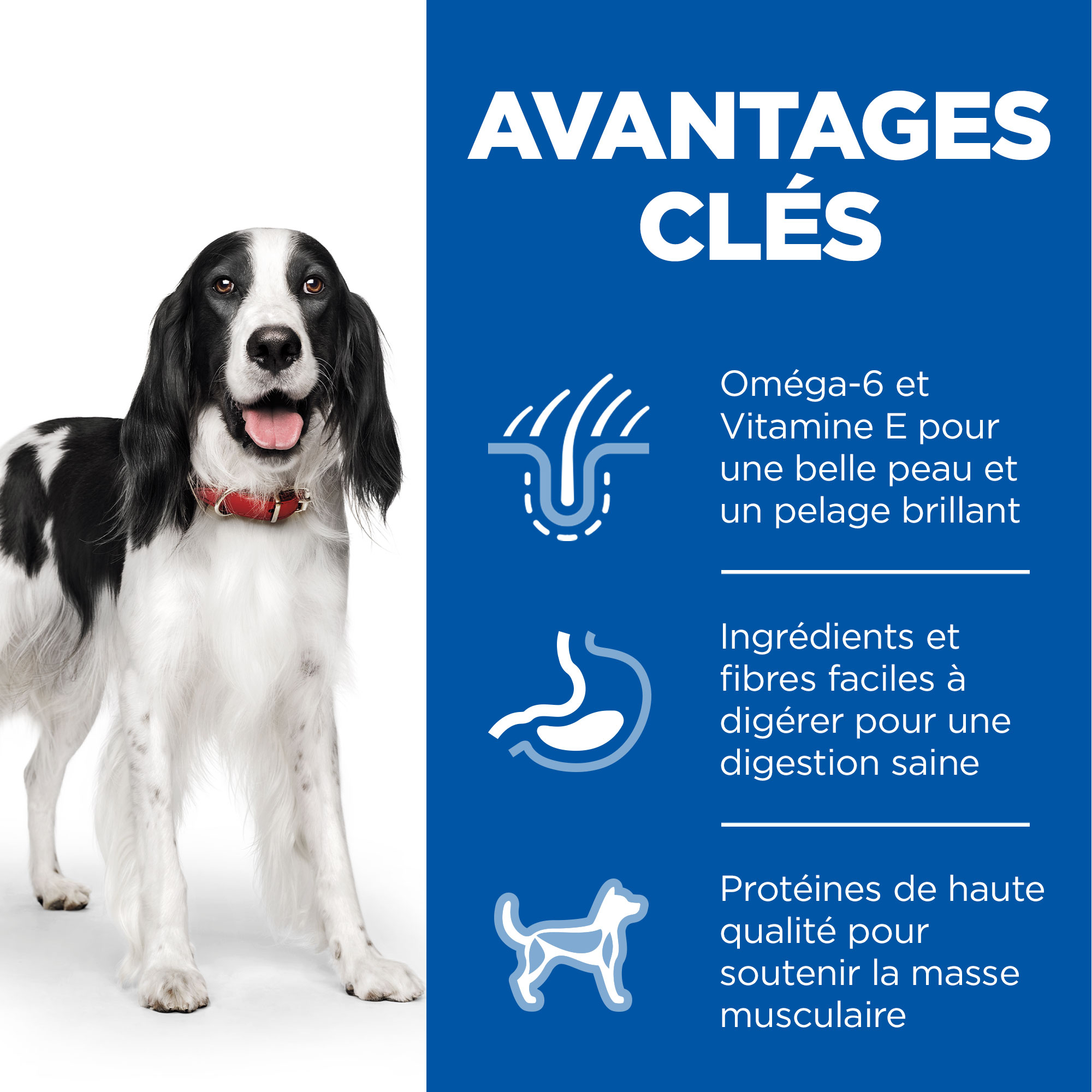 Hill's Science Plan - Canine Adult - Bœuf