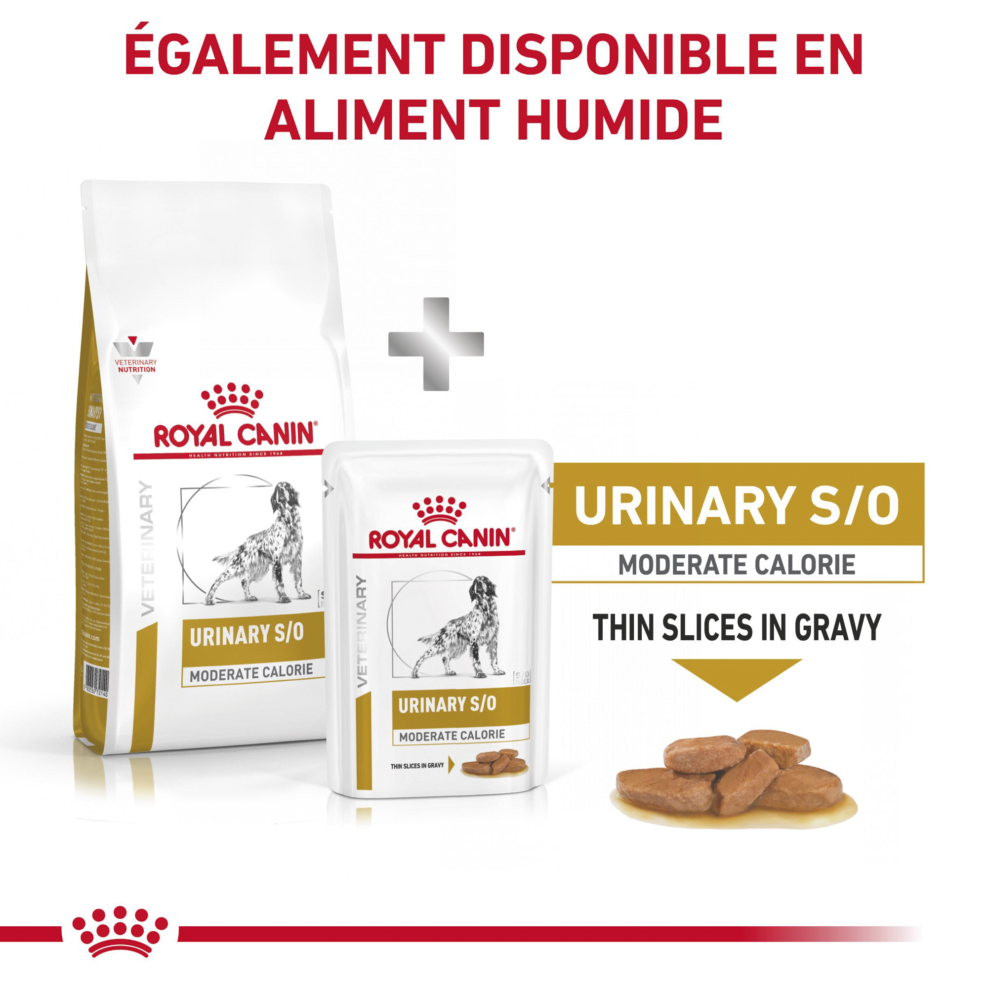 Royal Canin Urinary S/O Moderate Calorie - Chien