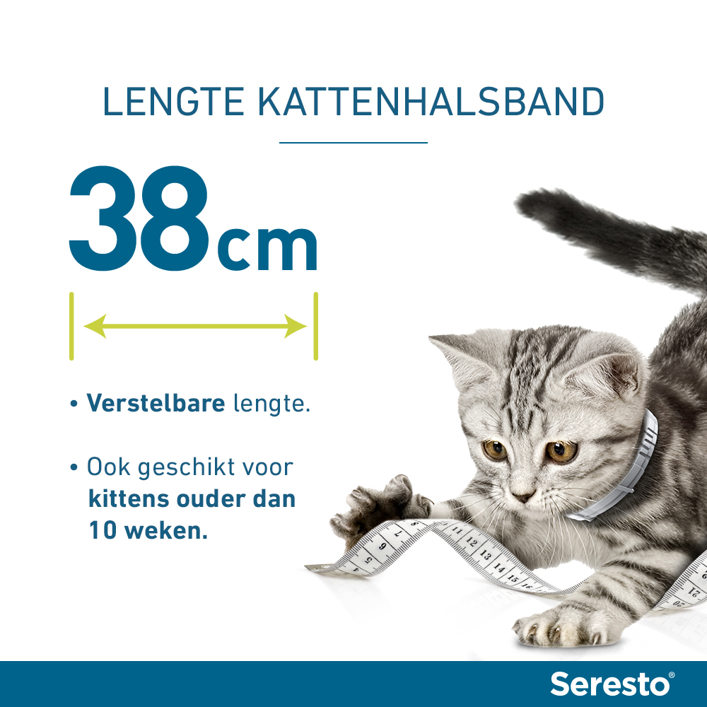 Seresto Kat