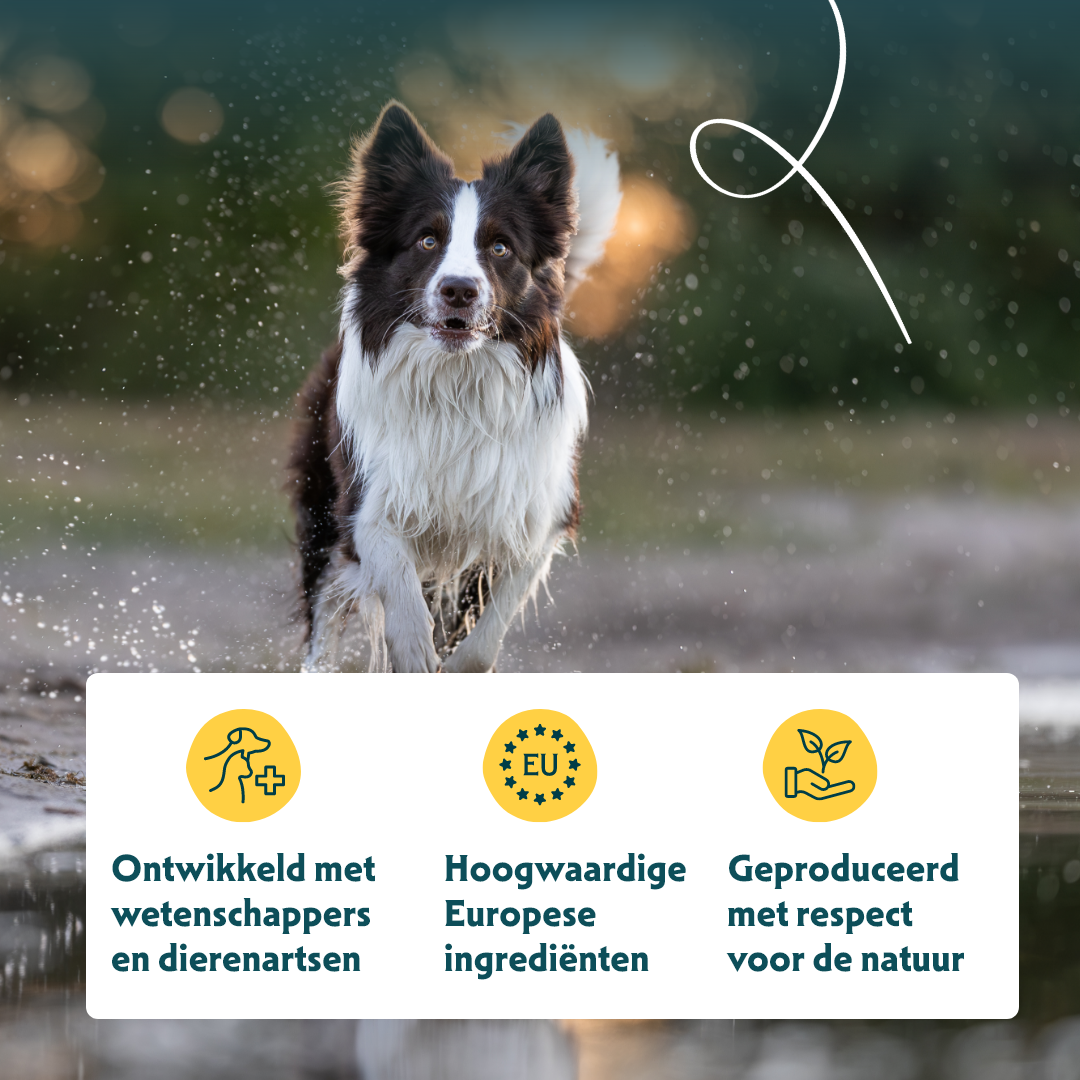 Yarrah - Bio Natvoer Hond Kuipje Chunks Vega