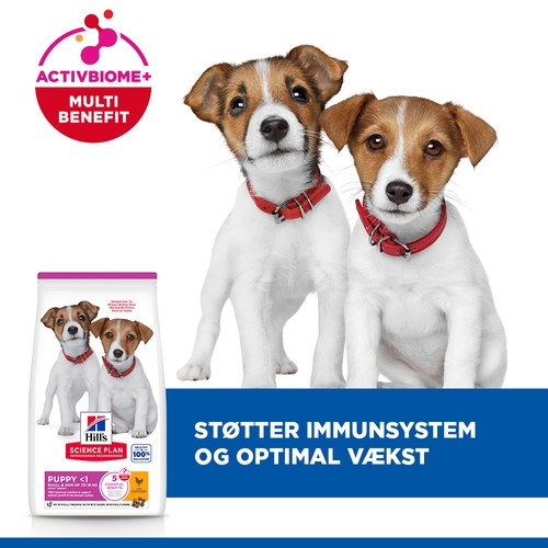 Hill's Science Plan Small & Mini - Hvalp - Kylling