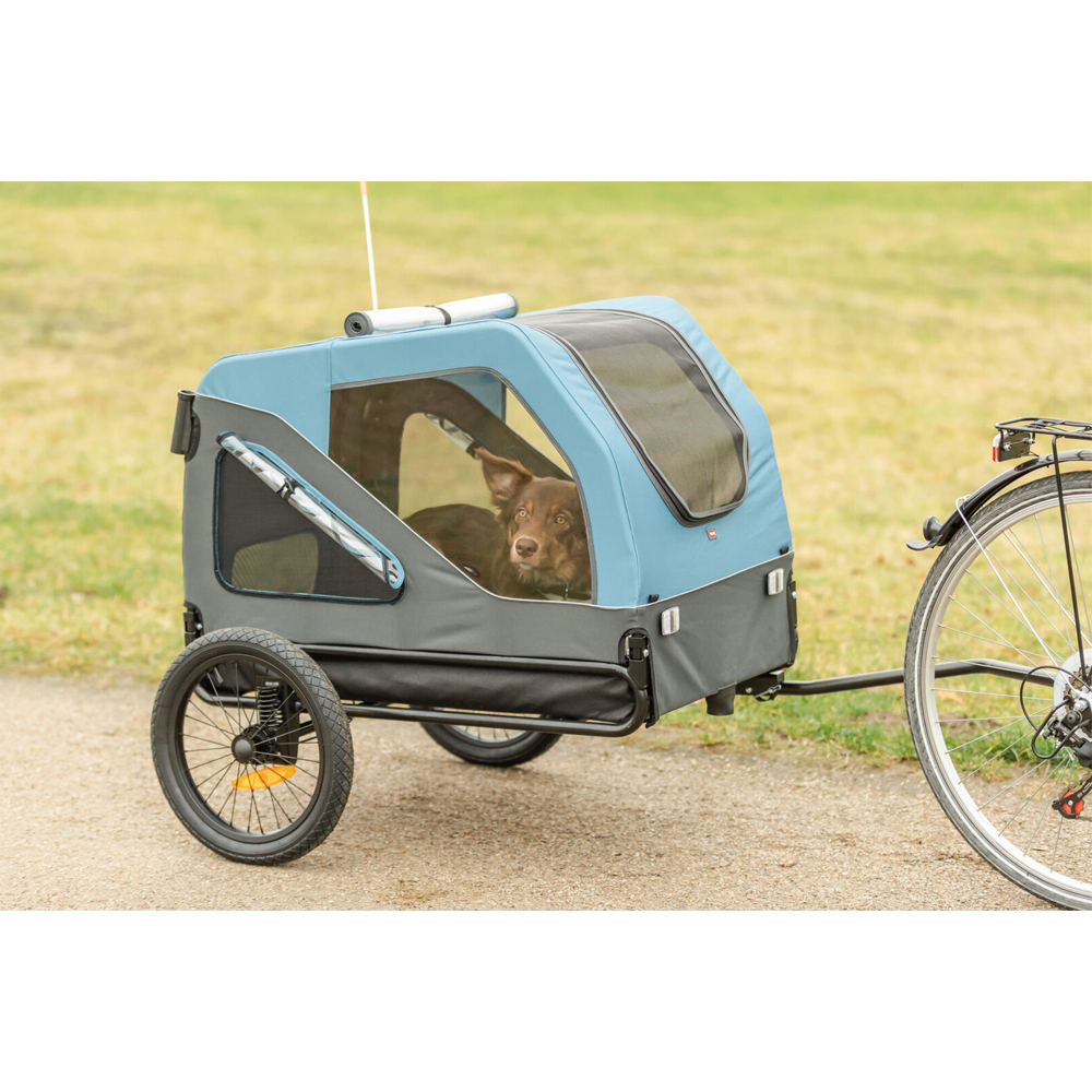 pegasus piazza trekking fahrrad 28 zoll 7 Deep 26 Black Matt - Kompakt Aufbewahrung, Recovery Seeds & Geschenk Geburt personalisiert Größe:XL/48