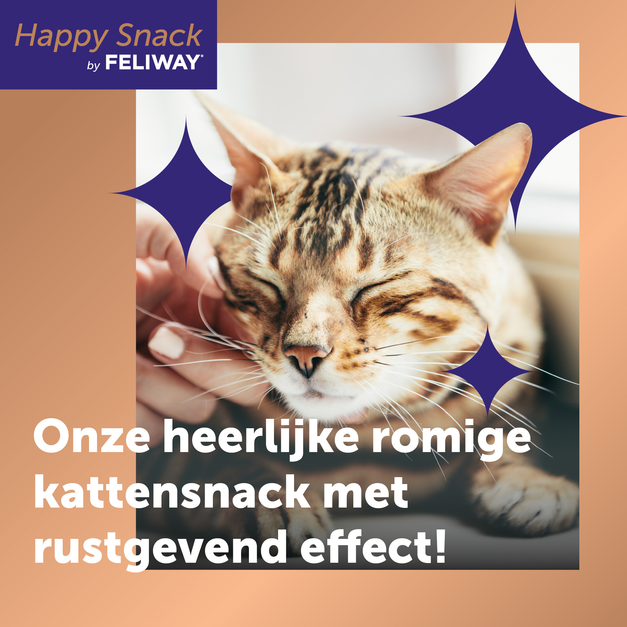 Feliway Happy Snack