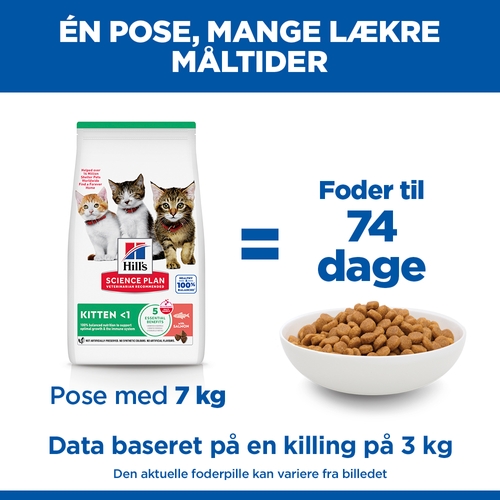 Hill's Science Plan - Kitten - Salmon